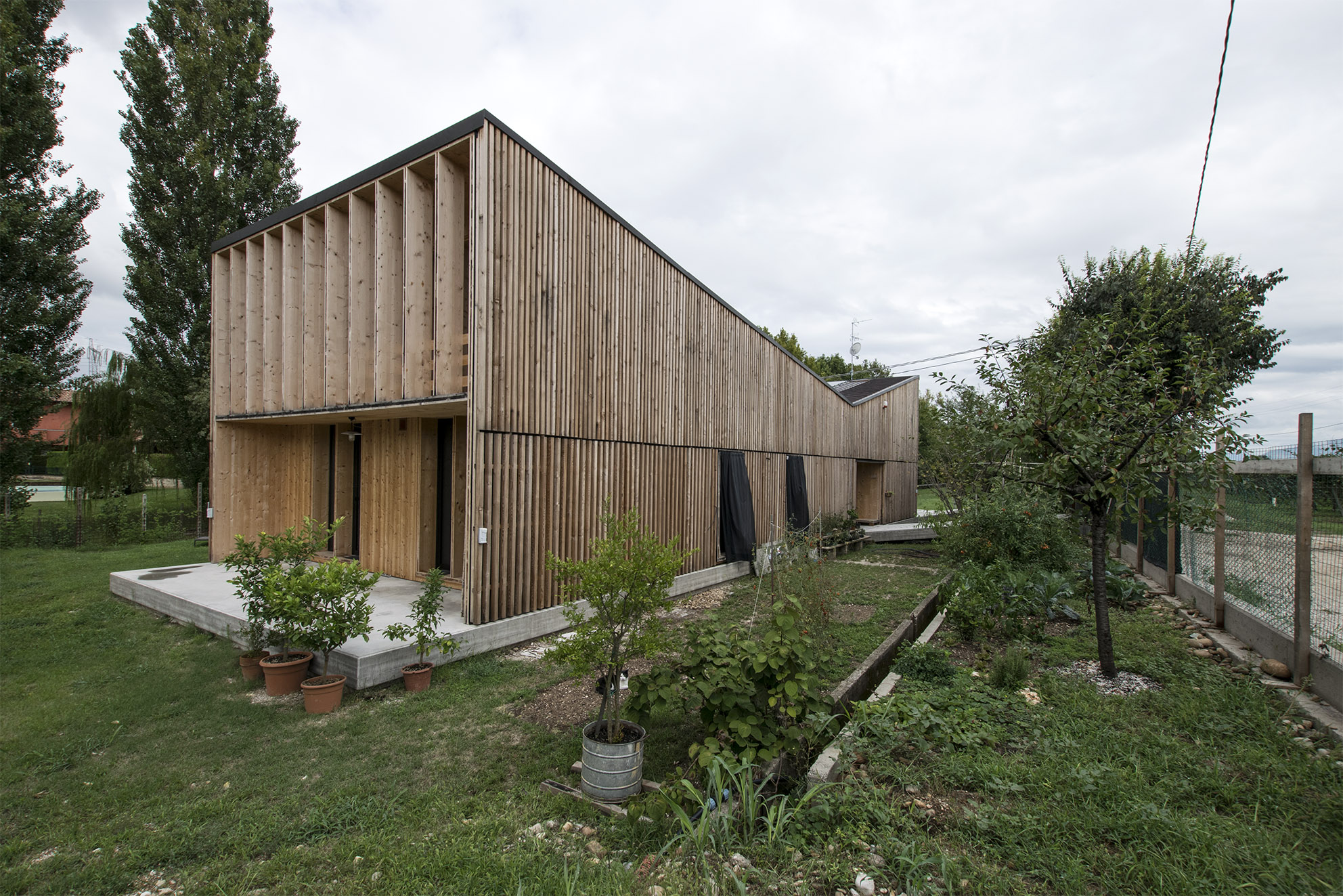 湖畔 V 型木质住宅-3