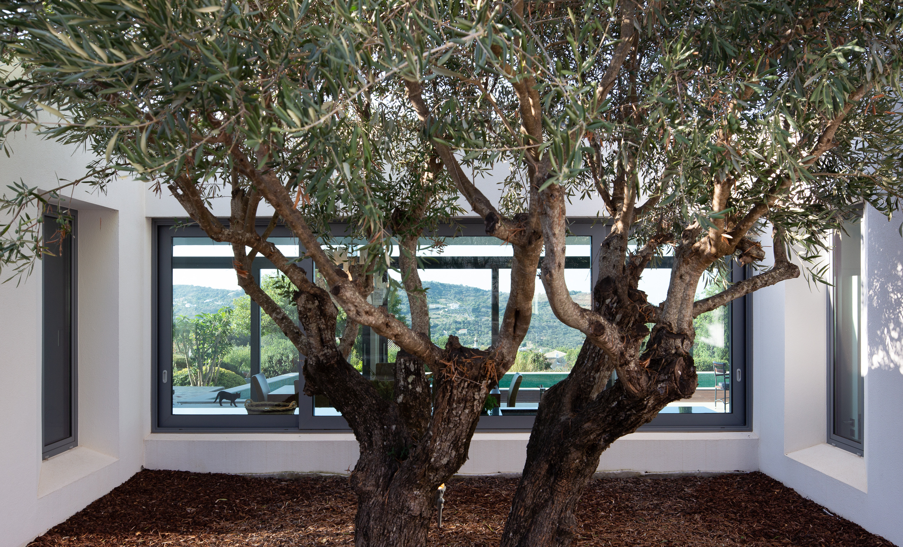 葡萄牙“第三世界开发者”的绿色环保地下别墅-7