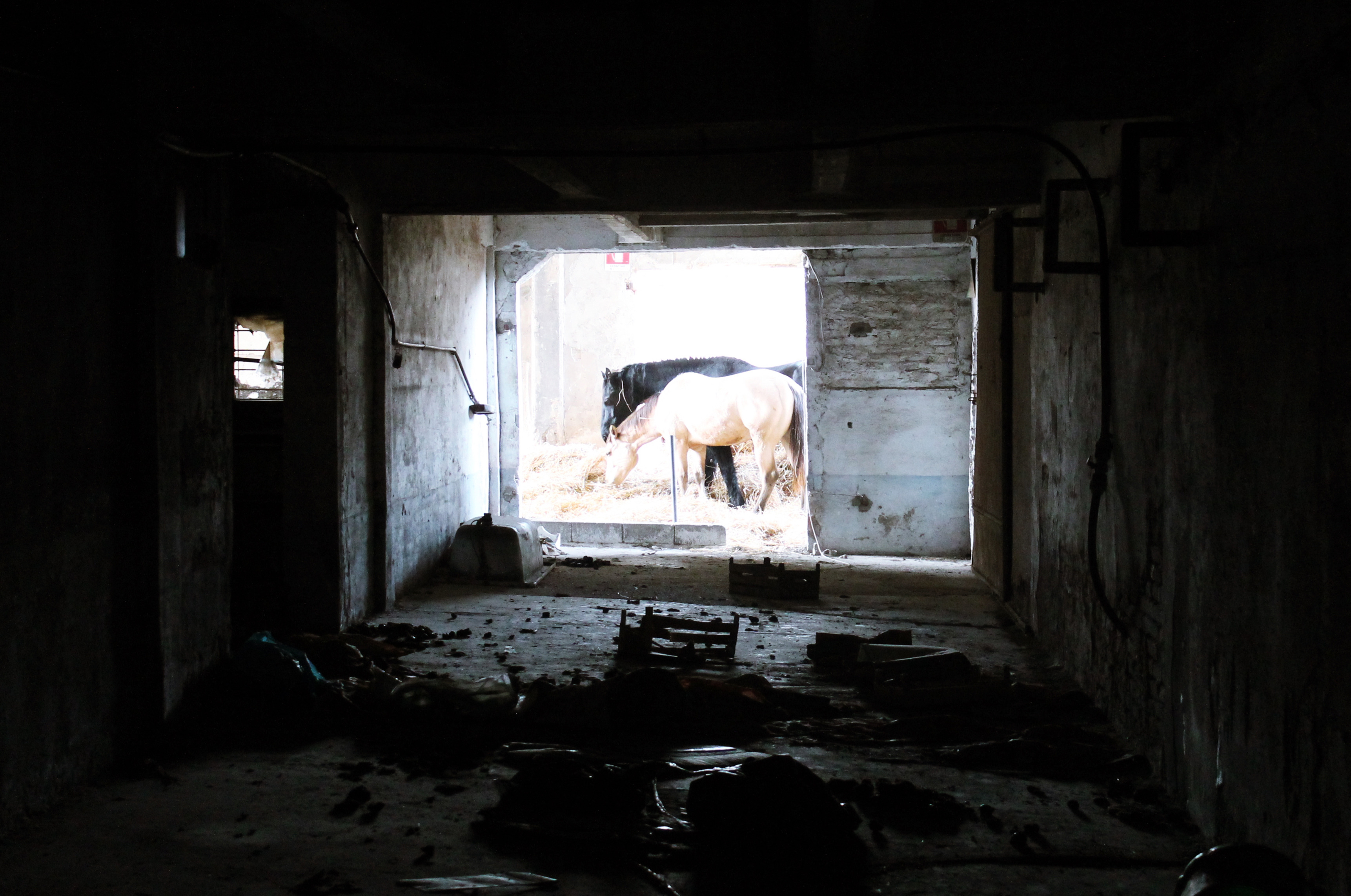 工业遗址的华丽转身 | 意大利 Sele 平原烟草工厂复兴-51