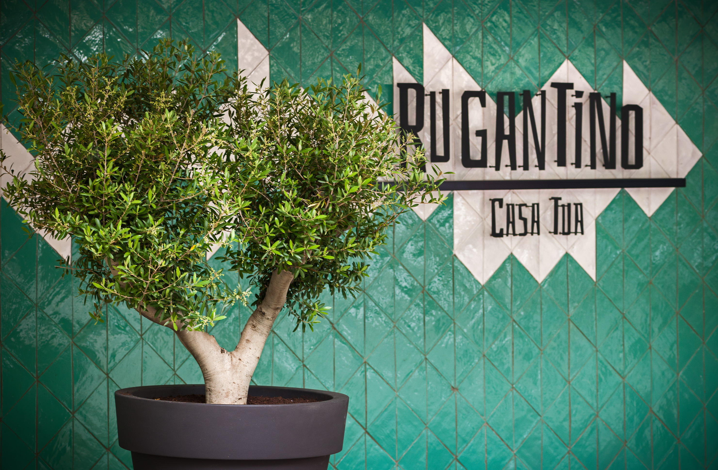 地中海风情之家 · RUGANTINO Casa tua-0