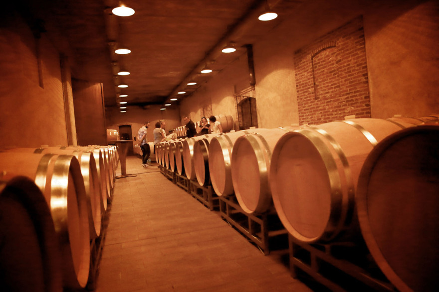 2017 年完成的红酒酒庄 CANTINA PARUSSO 室内设计案例-42