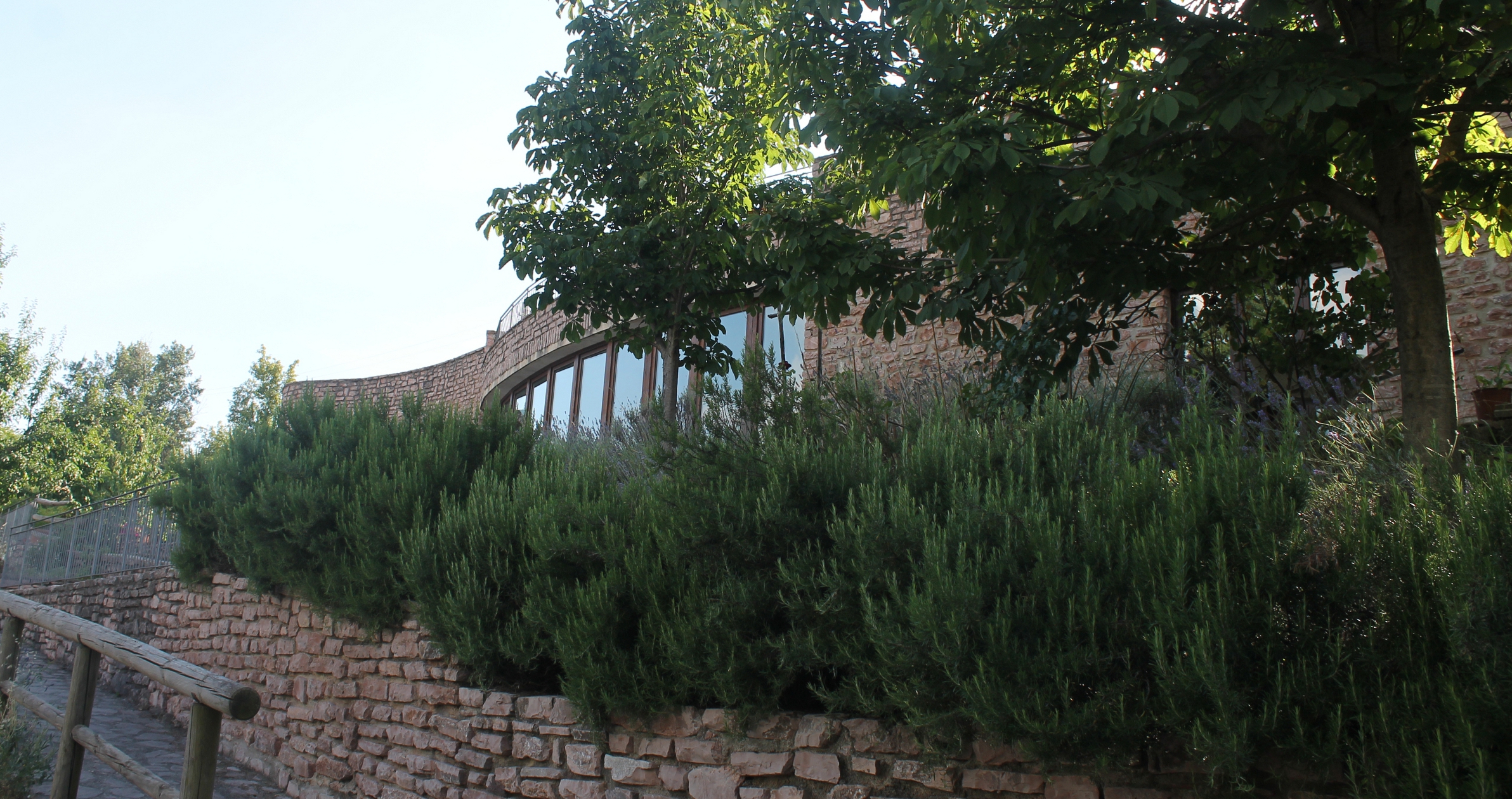 马切琳诺餐厅设计-0