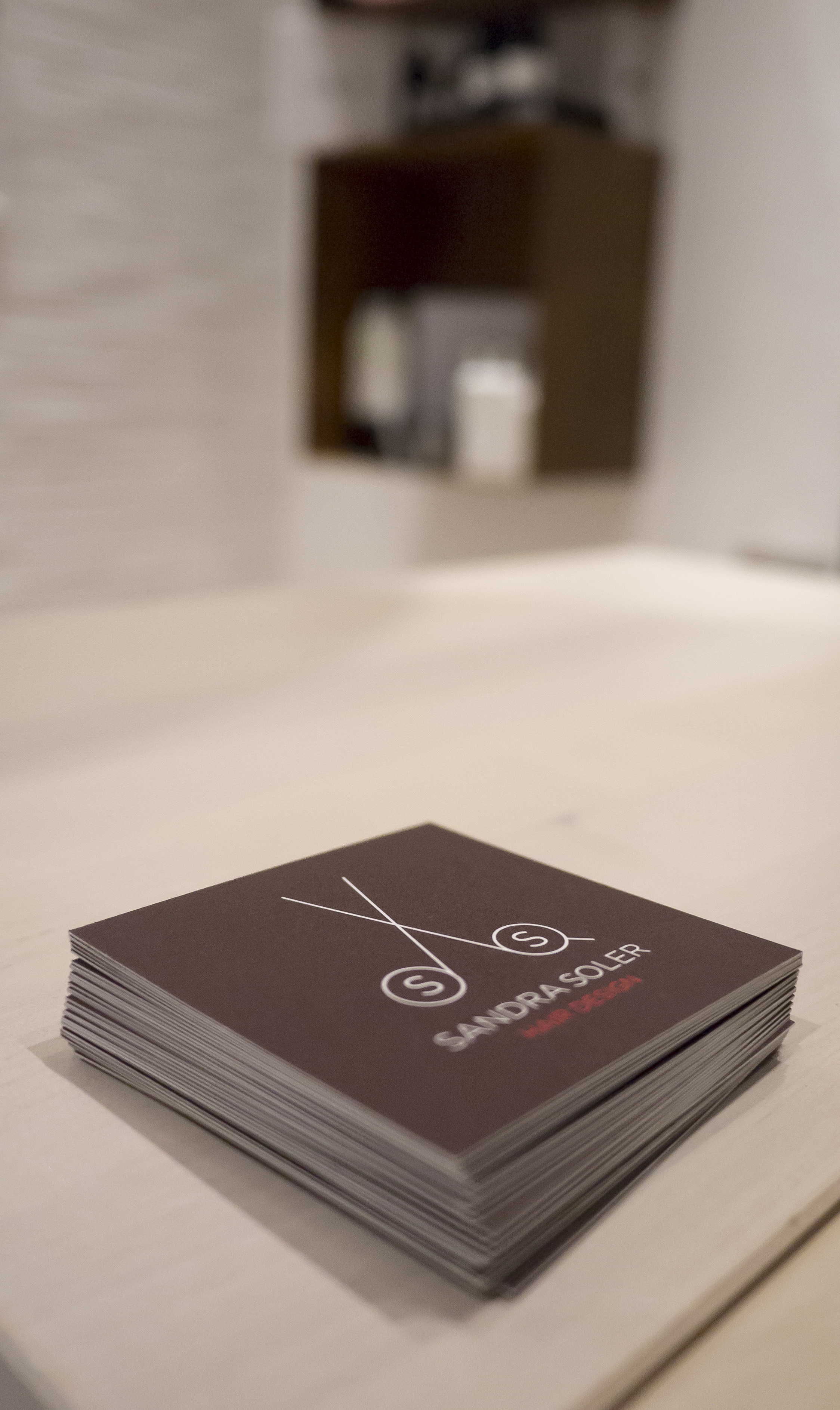 钢制装饰的 Sandra Soler 发廊设计-20