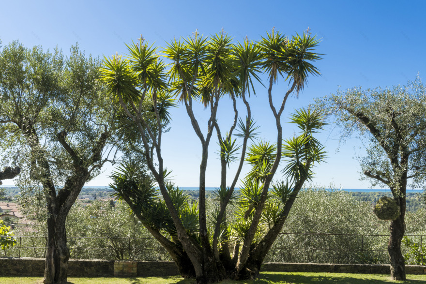 Villa Gilda Relax&living - 花园式别墅度假胜地-15