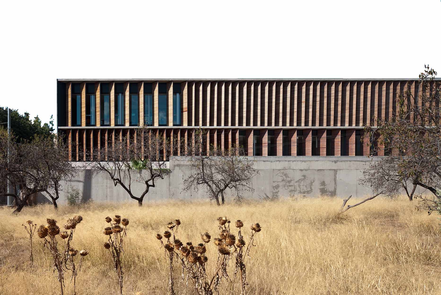 音乐学校的公共空间营造-0