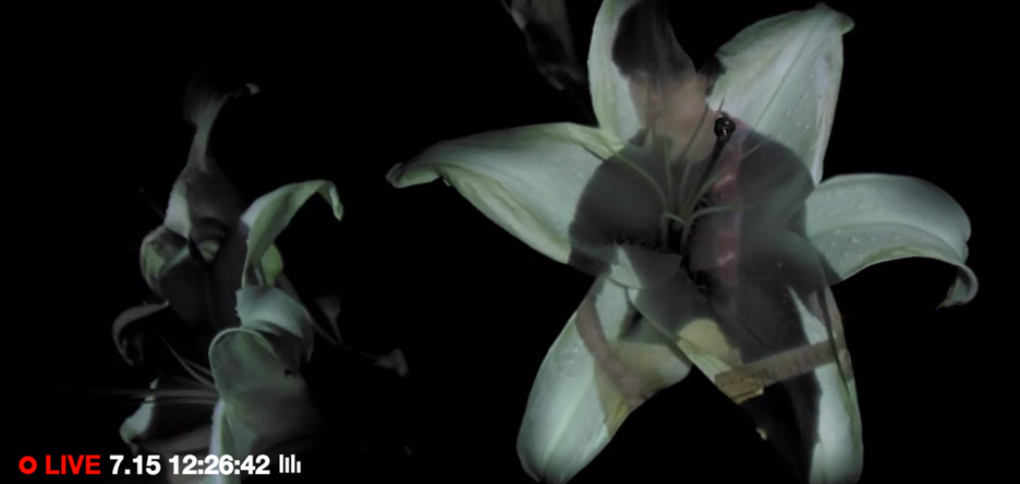 《花之颂》（Hana）-18