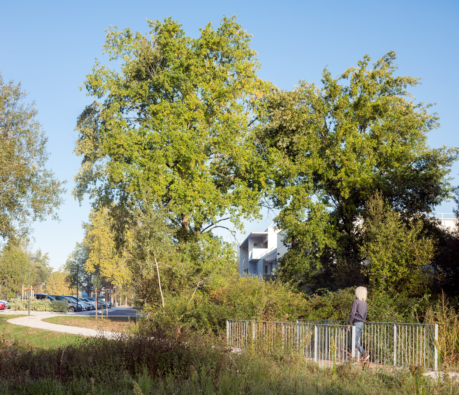 养老医疗中心 Barail | 关爱老年人的温馨家园-22