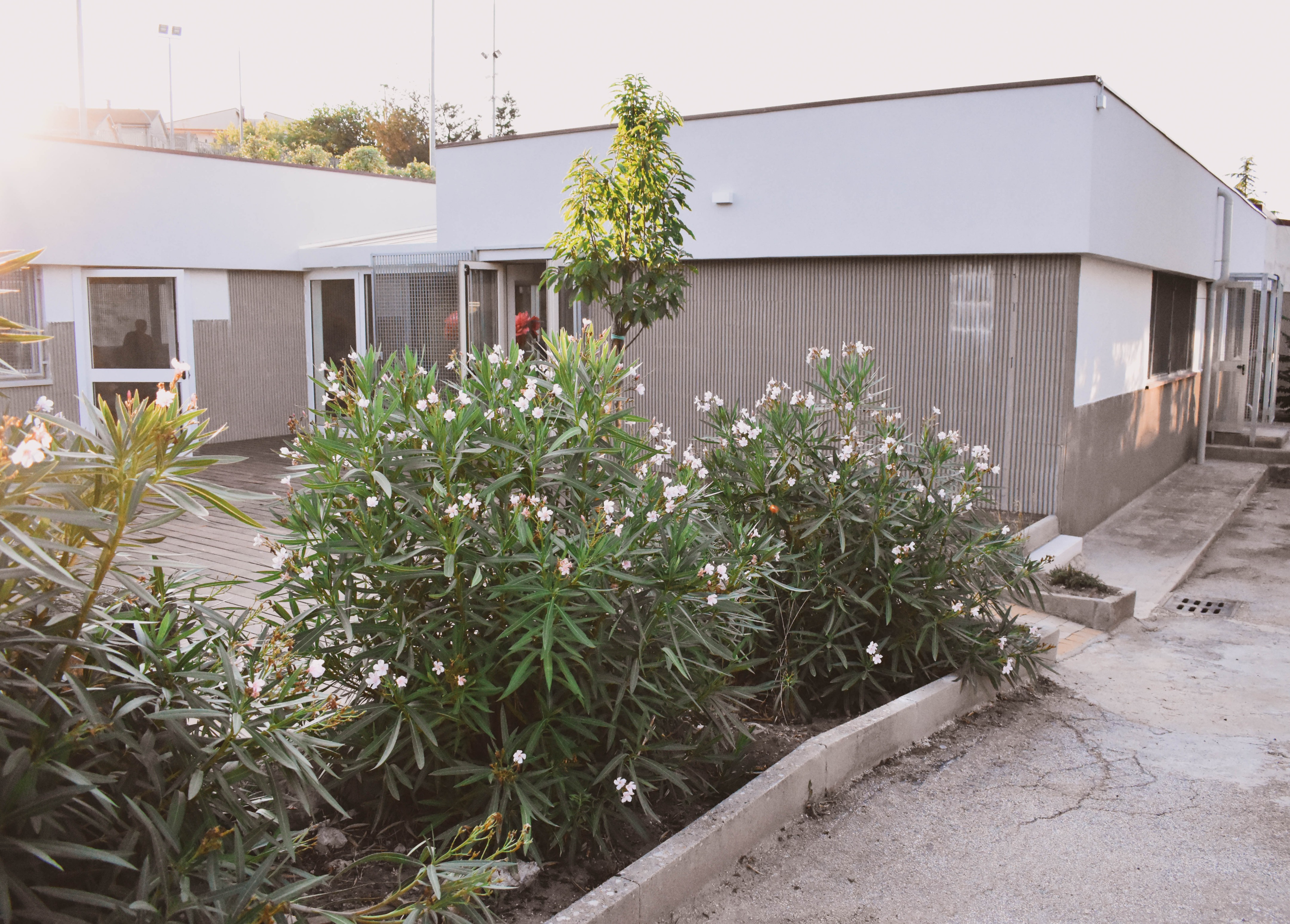 意大利 T·Fiore 学校社区图书馆设计-48