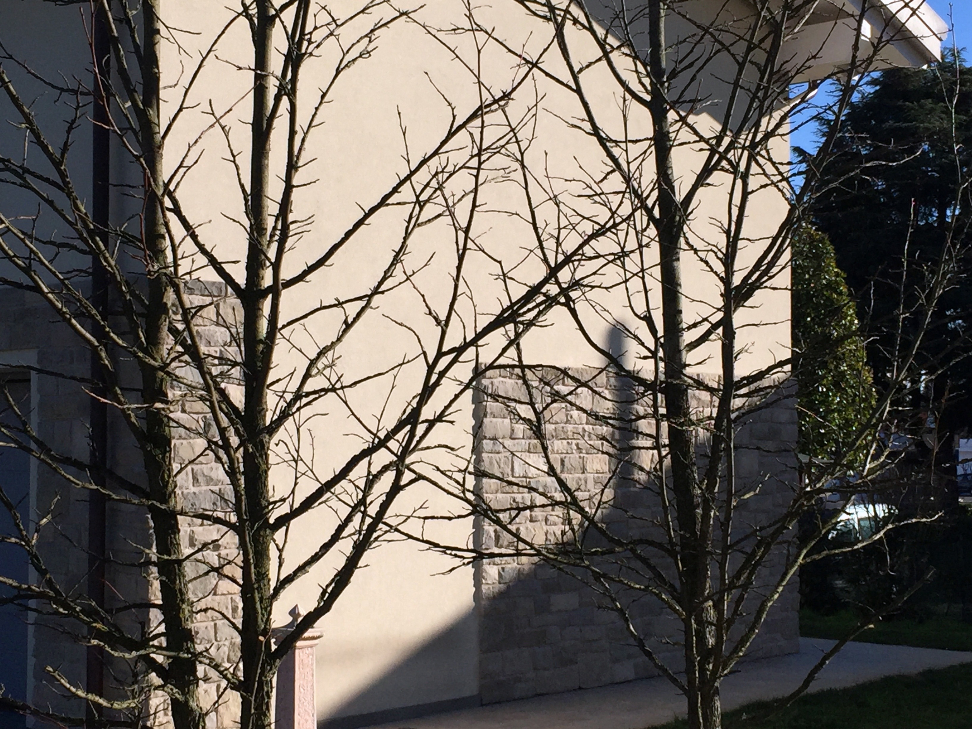 2014 年完工的私人住宅项目-11