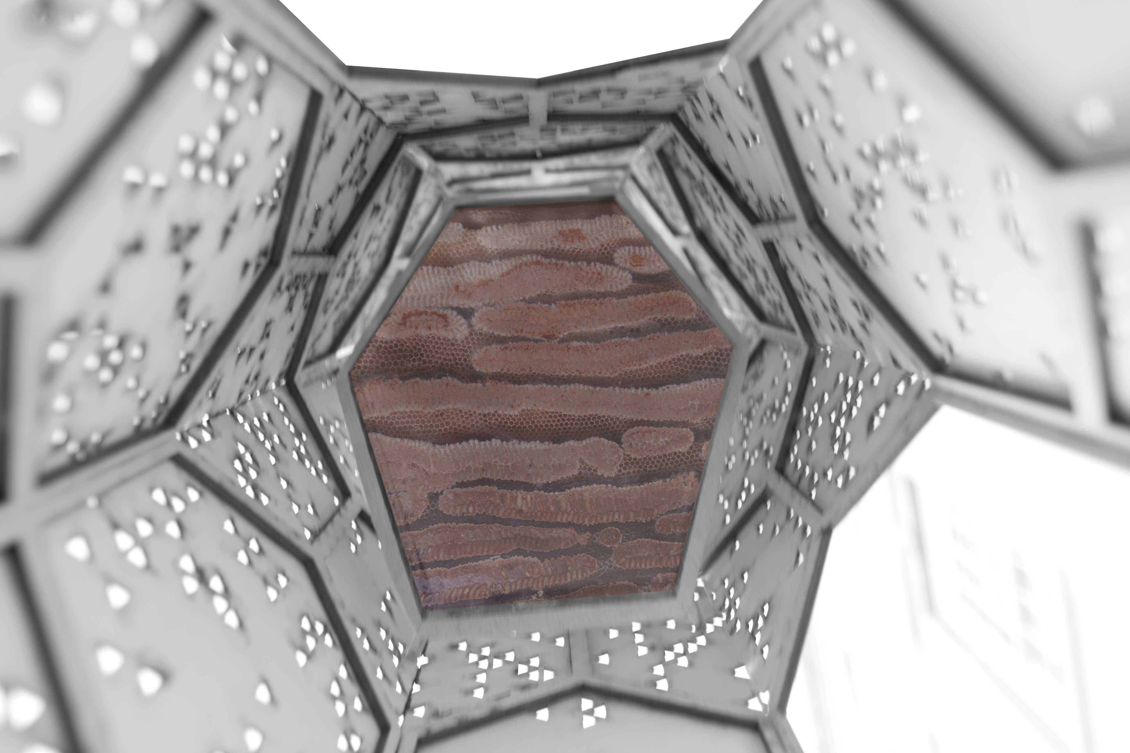 蜂巢城市:电梯 B-34