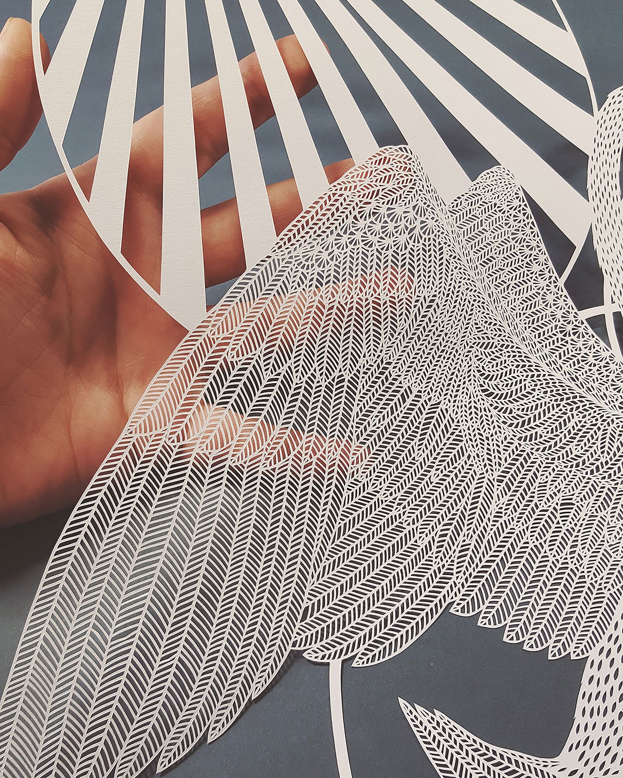 皮帕·迪尔拉加的剪纸艺术-38