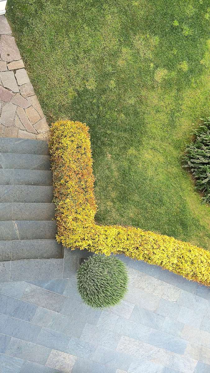 阿尔卑斯山间的五星级酒店改造-17