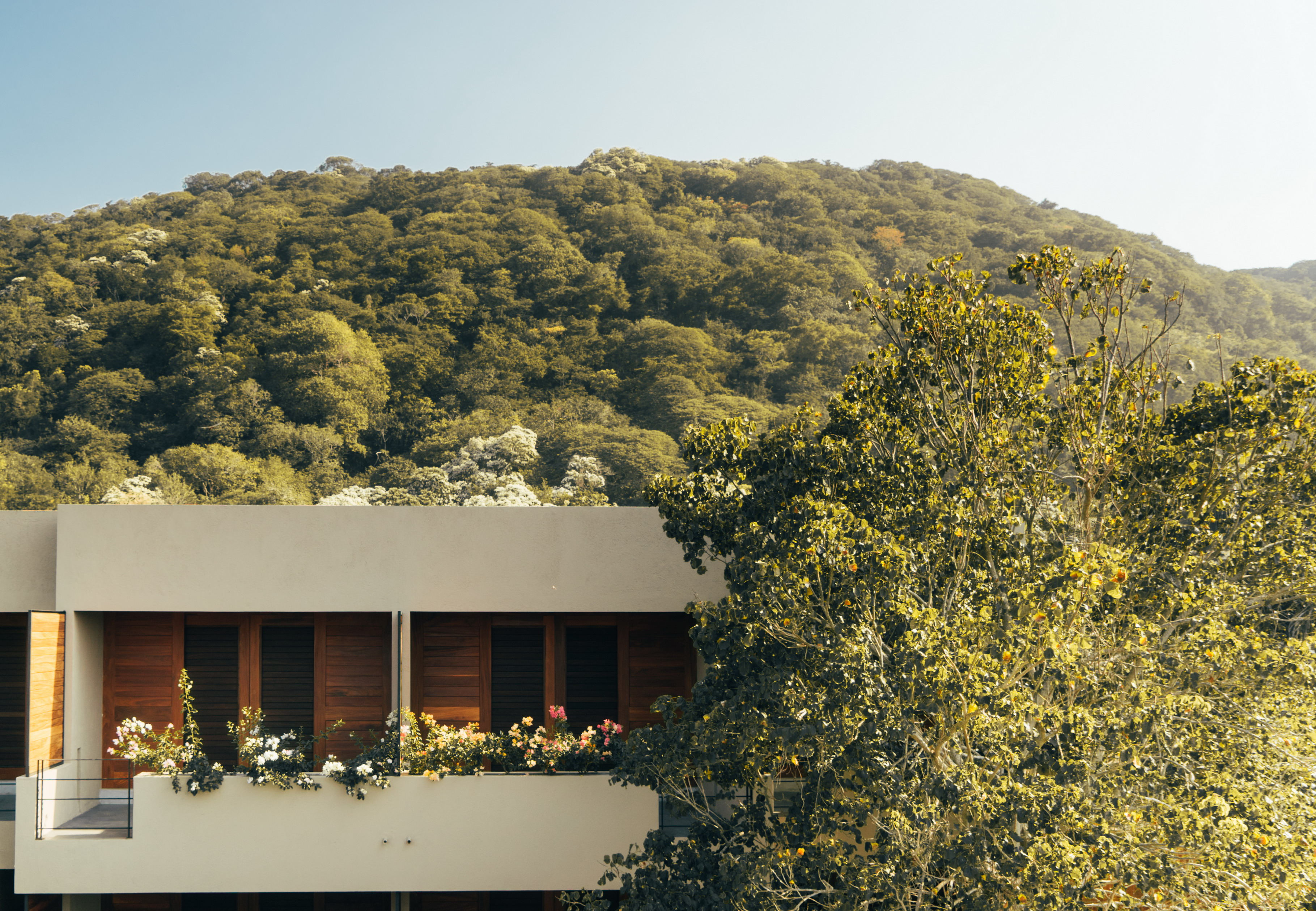 洛塞雷诺海滩之家（特龙科内斯，墨西哥）-13