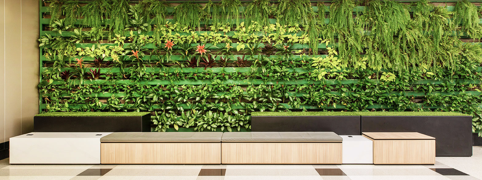 贾德尔·阿尔梅达，朱莉安娜·里奥布兰科，安德烈·德托尼，拉斐尔·阿达米，亚历·安德烈·马亚达纳，卡罗琳娜·梅里齐，让·卡洛斯-2