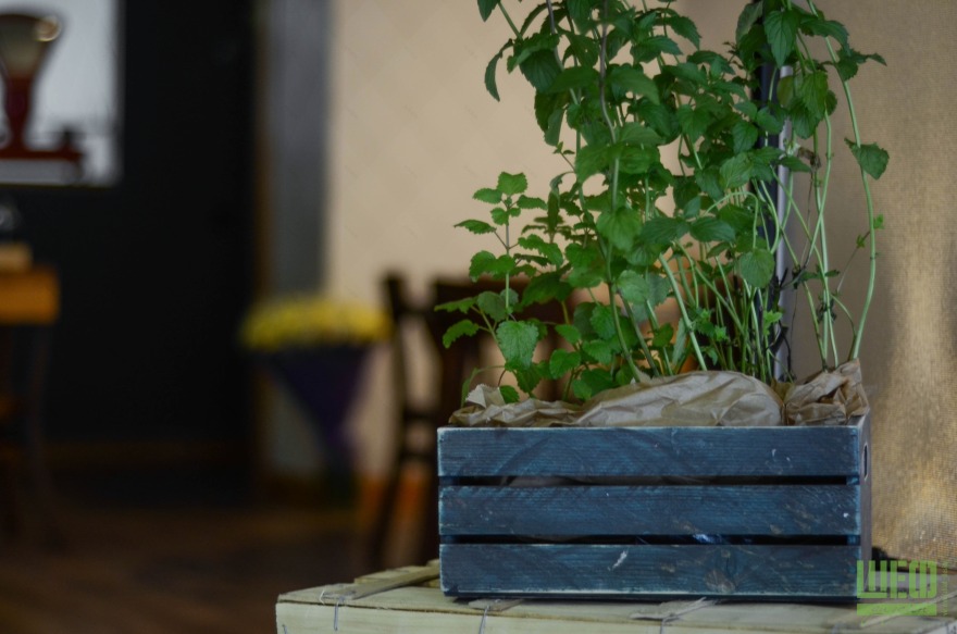 新鲜市场咖啡馆-20