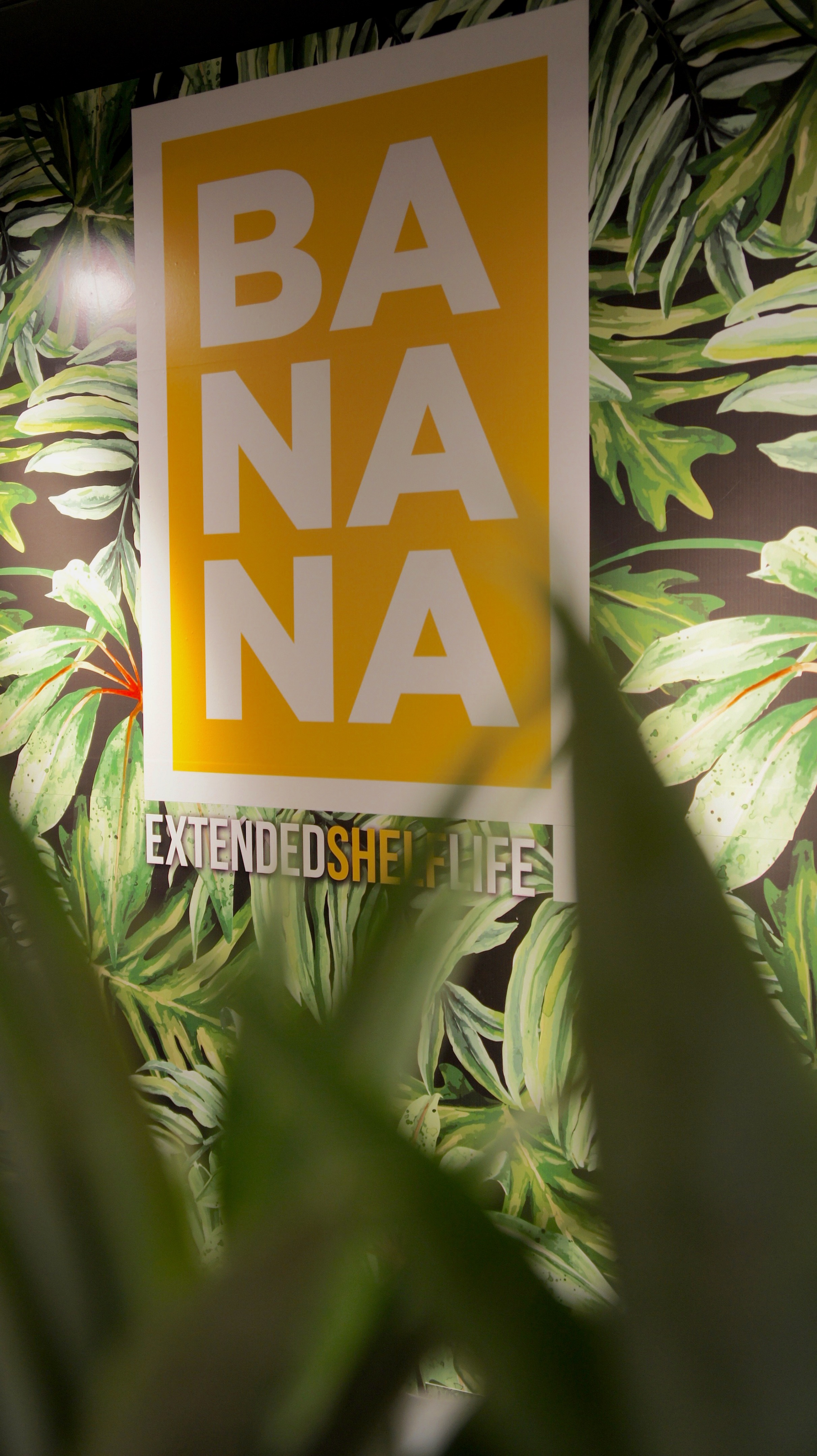 2018 年完成的垂直花园墙展览设计-4