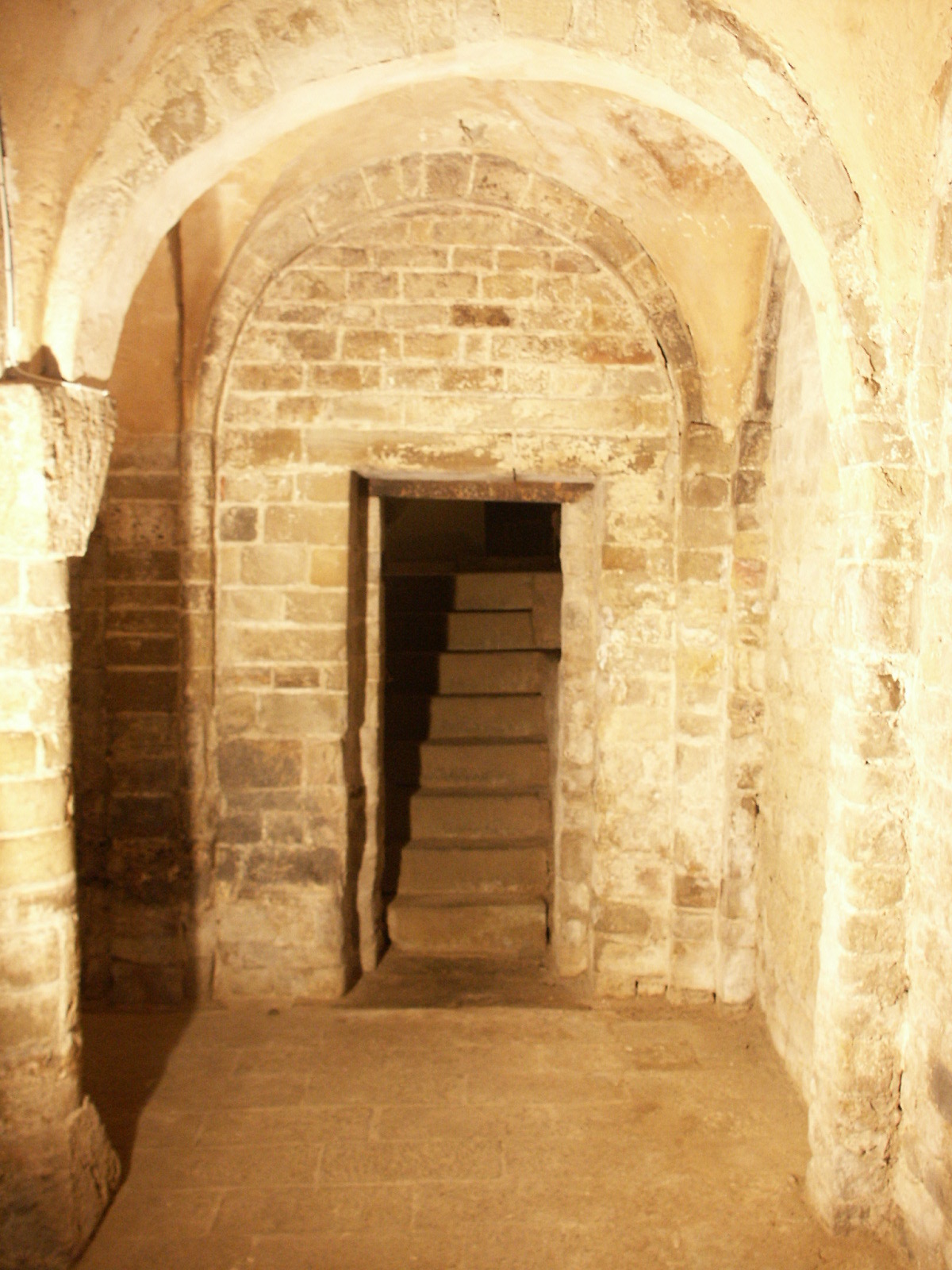 圣斯蒂芬大教堂的再生-19