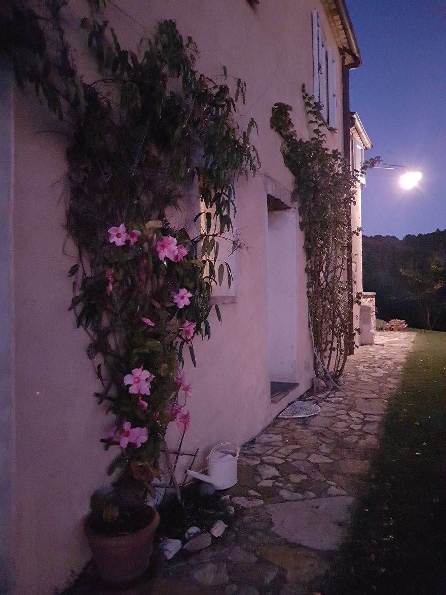 乡村别墅抗震加固与修复-13