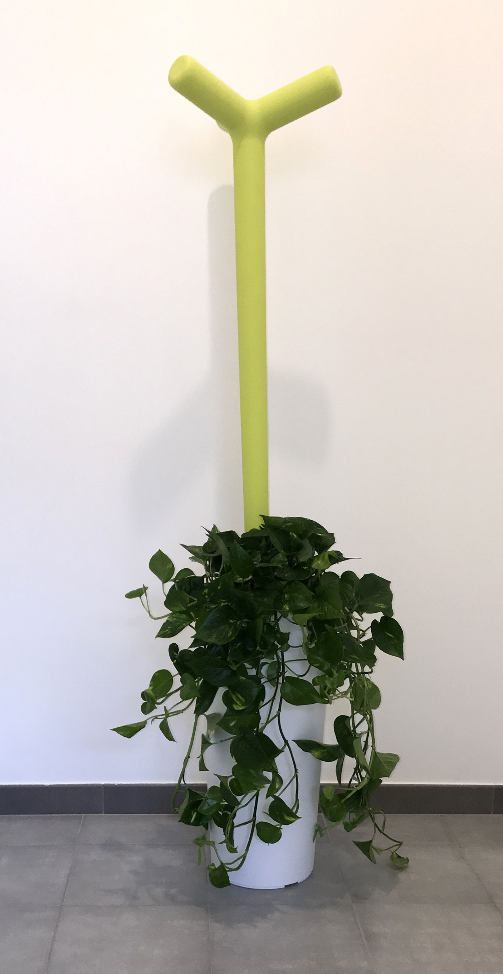 温馨医疗实验室-29