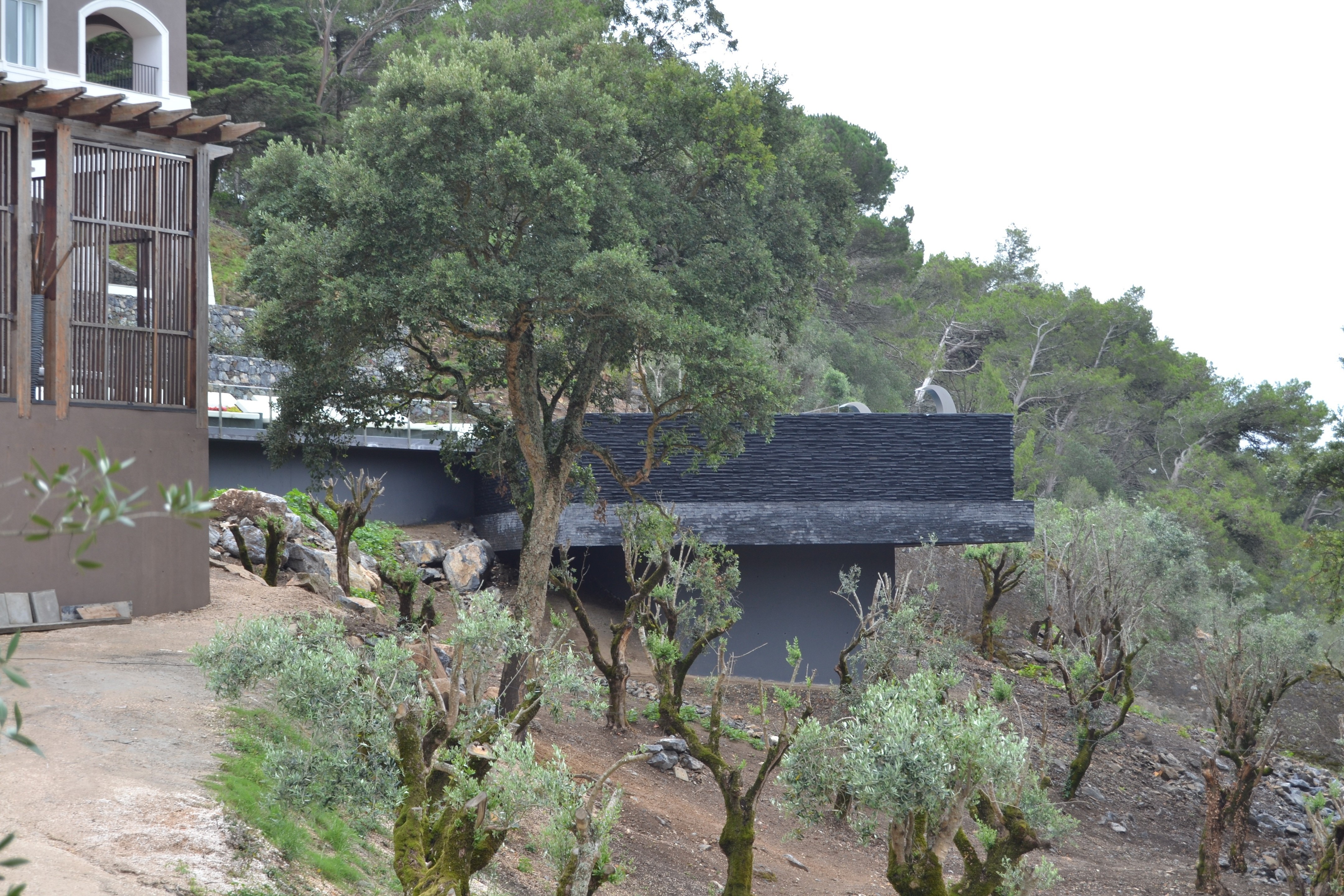 惊艳的 9 米高悬浮泳池设计-1