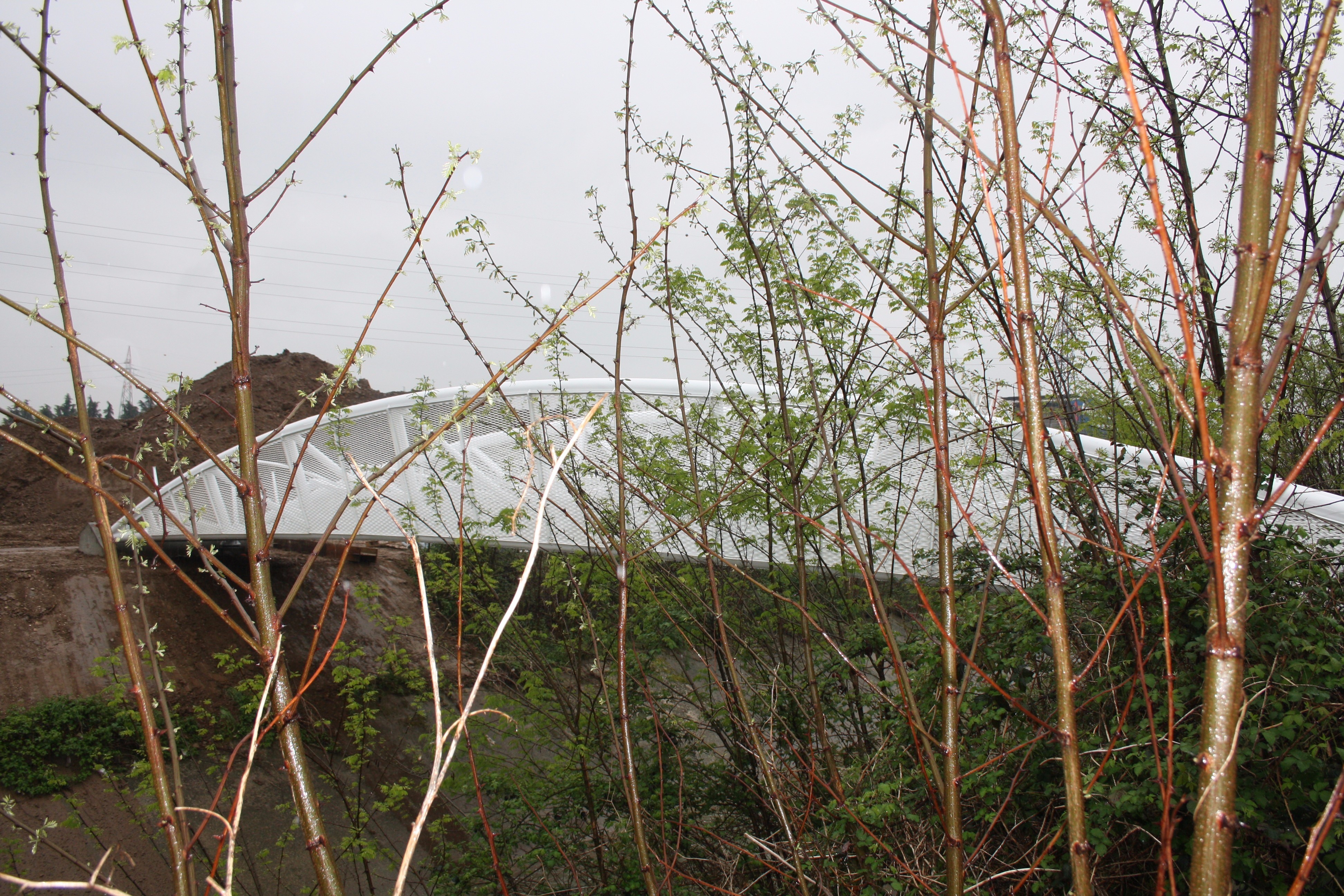 E·po 2015 意大利钢构桥 · 水岸夜色中的璀璨星光-6