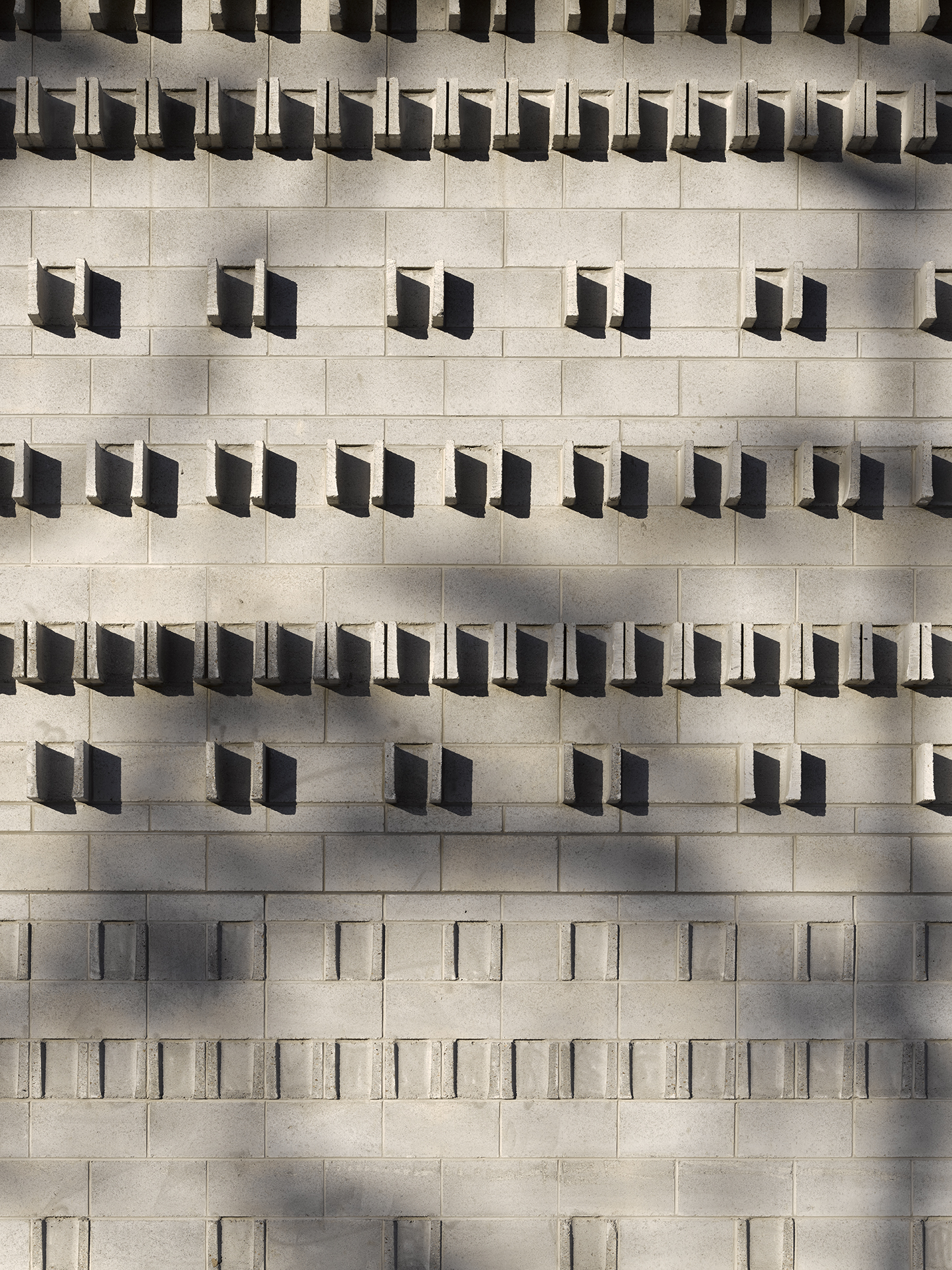 安娜米尔斯维罗赛马场-17