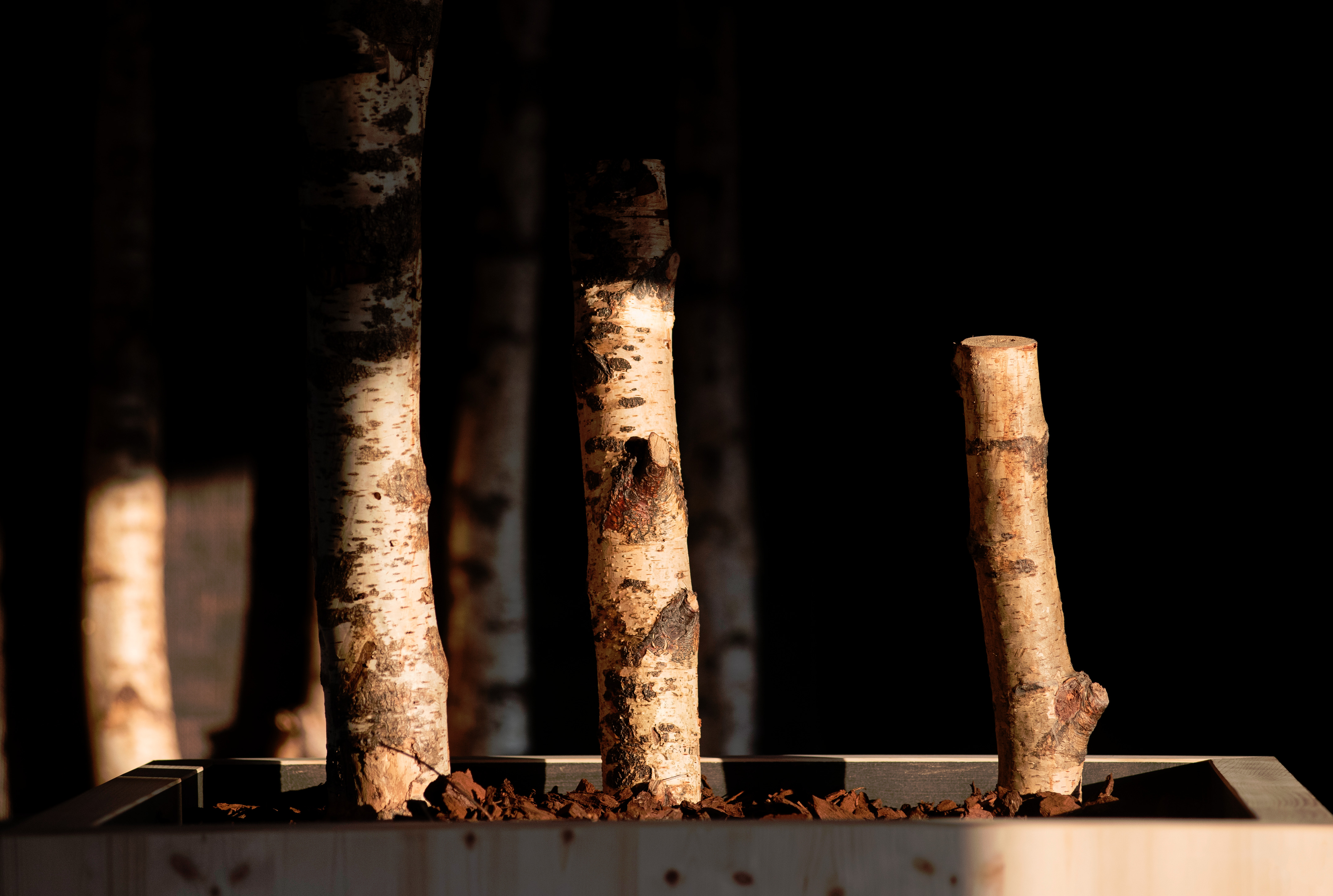 自然之境 | TERRA DEL SOLE 概念餐厅设计-31