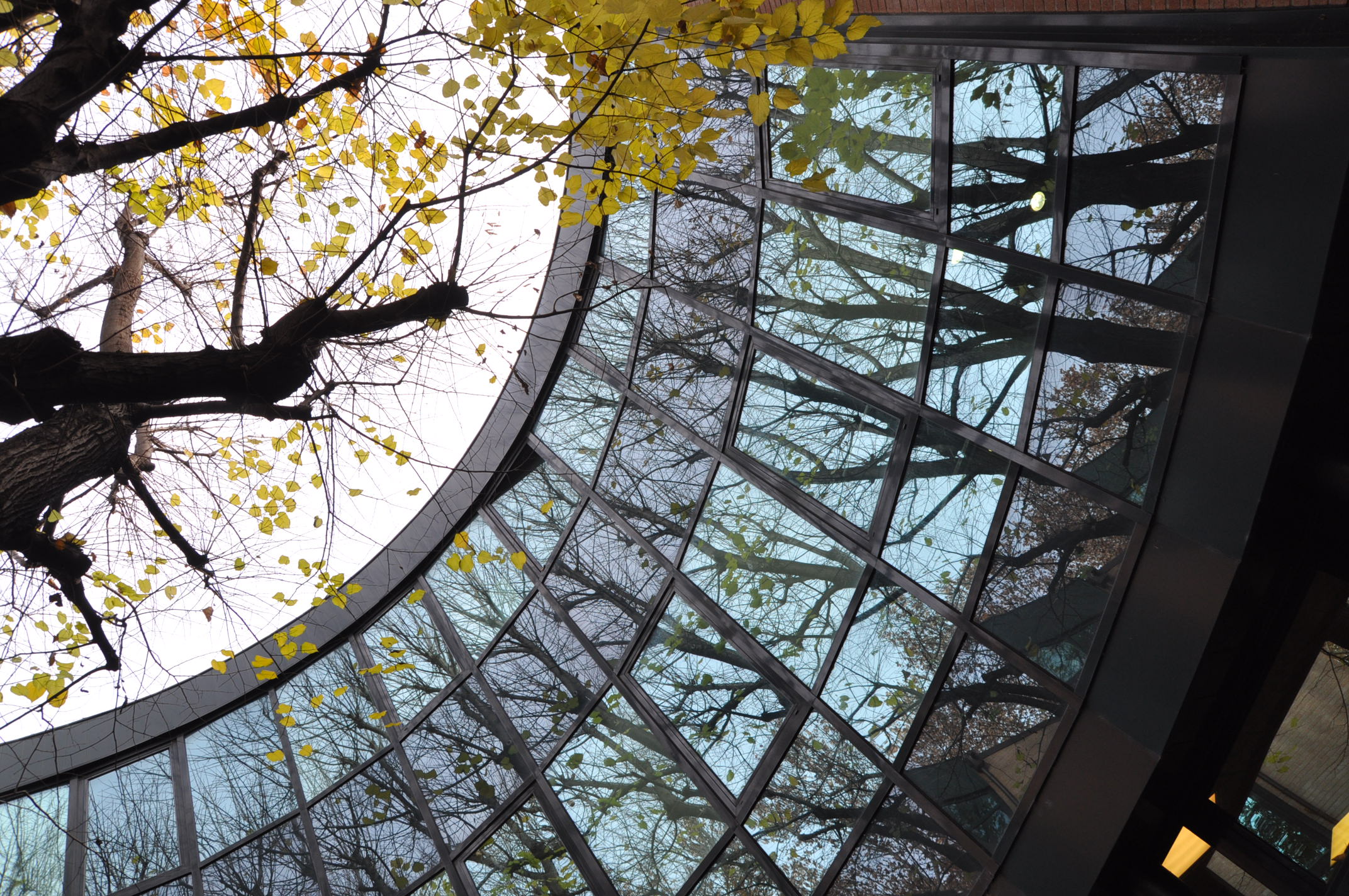 1999 年完成的圣奥尔索拉血液病研究所-0