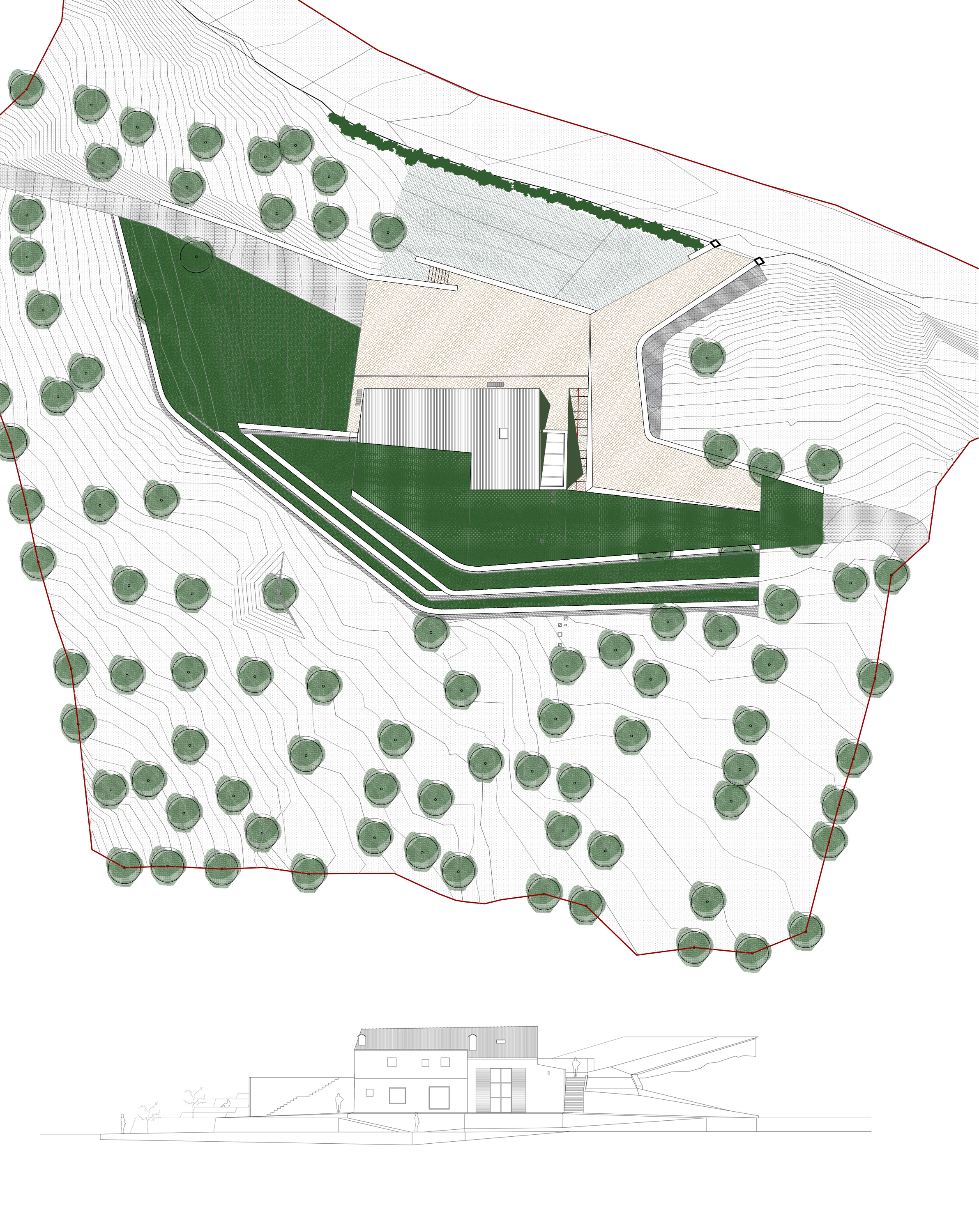 意大利乡村废旧粮仓的华丽变身-1