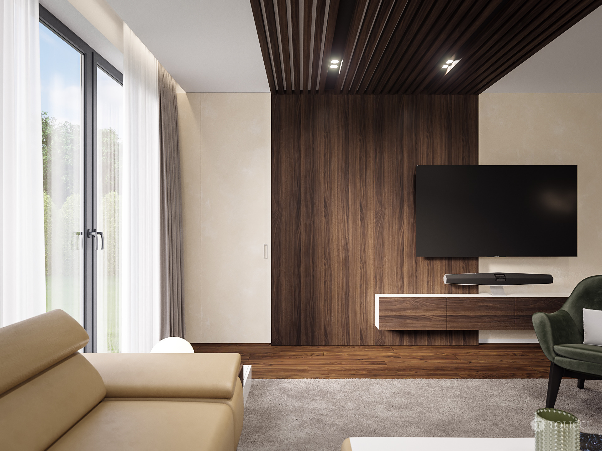 2017 年未实现的巴č家庭住宅设计-13