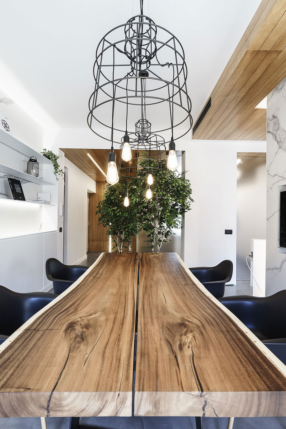 罗马创意工作室 | 绿意盎然，现代与传统共融-8