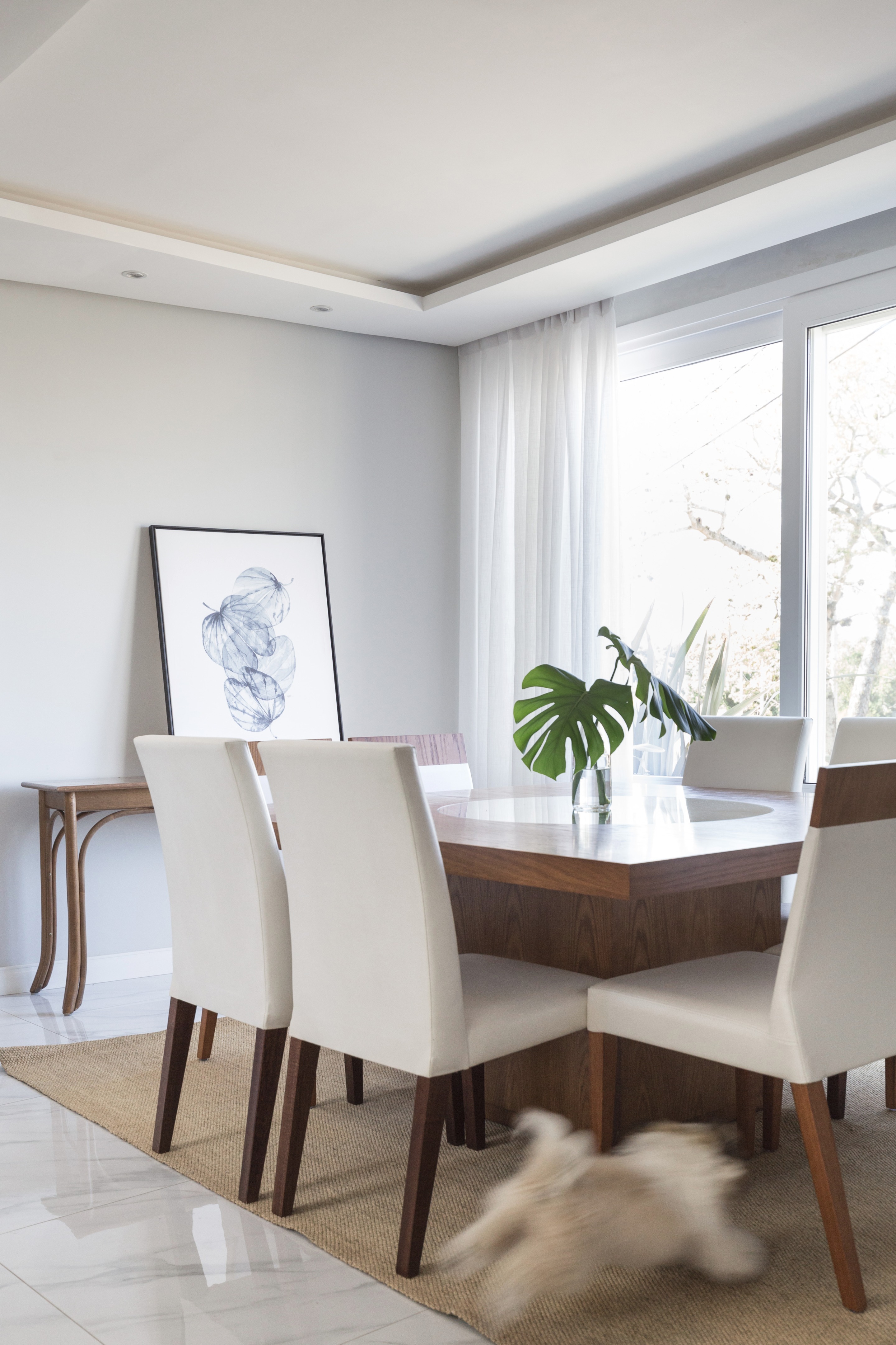 巴西现代简约别墅，自然与永恒的融合-15