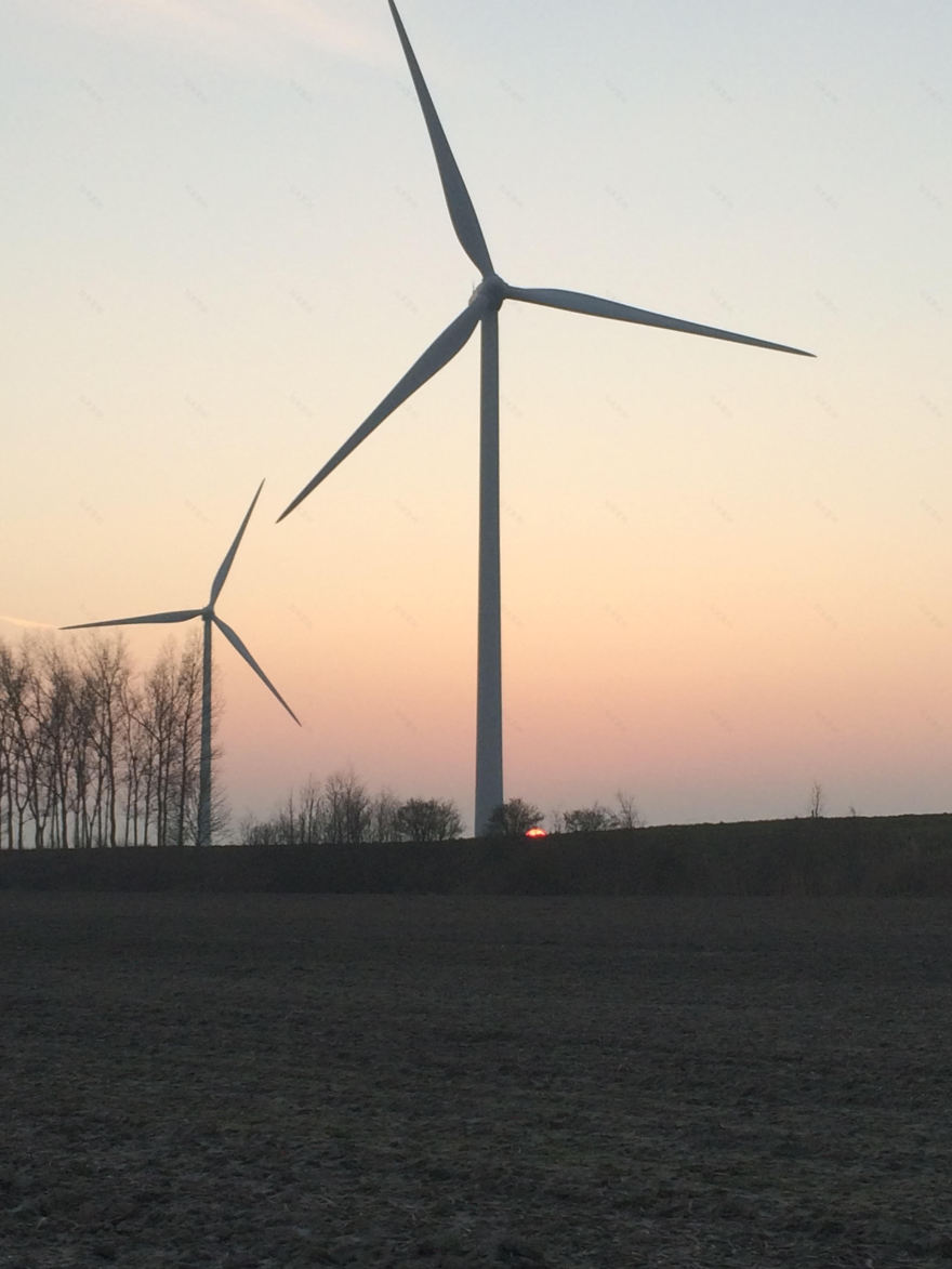 荷兰绿色能源之美——风光共舞的“风光之舞”-12