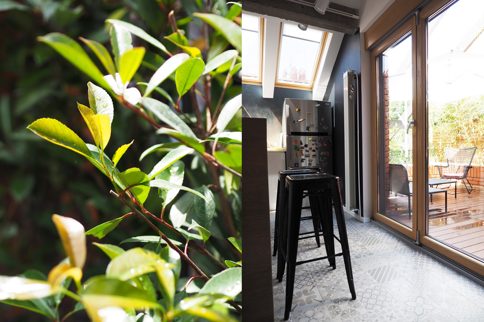 城市中的世外桃源-12