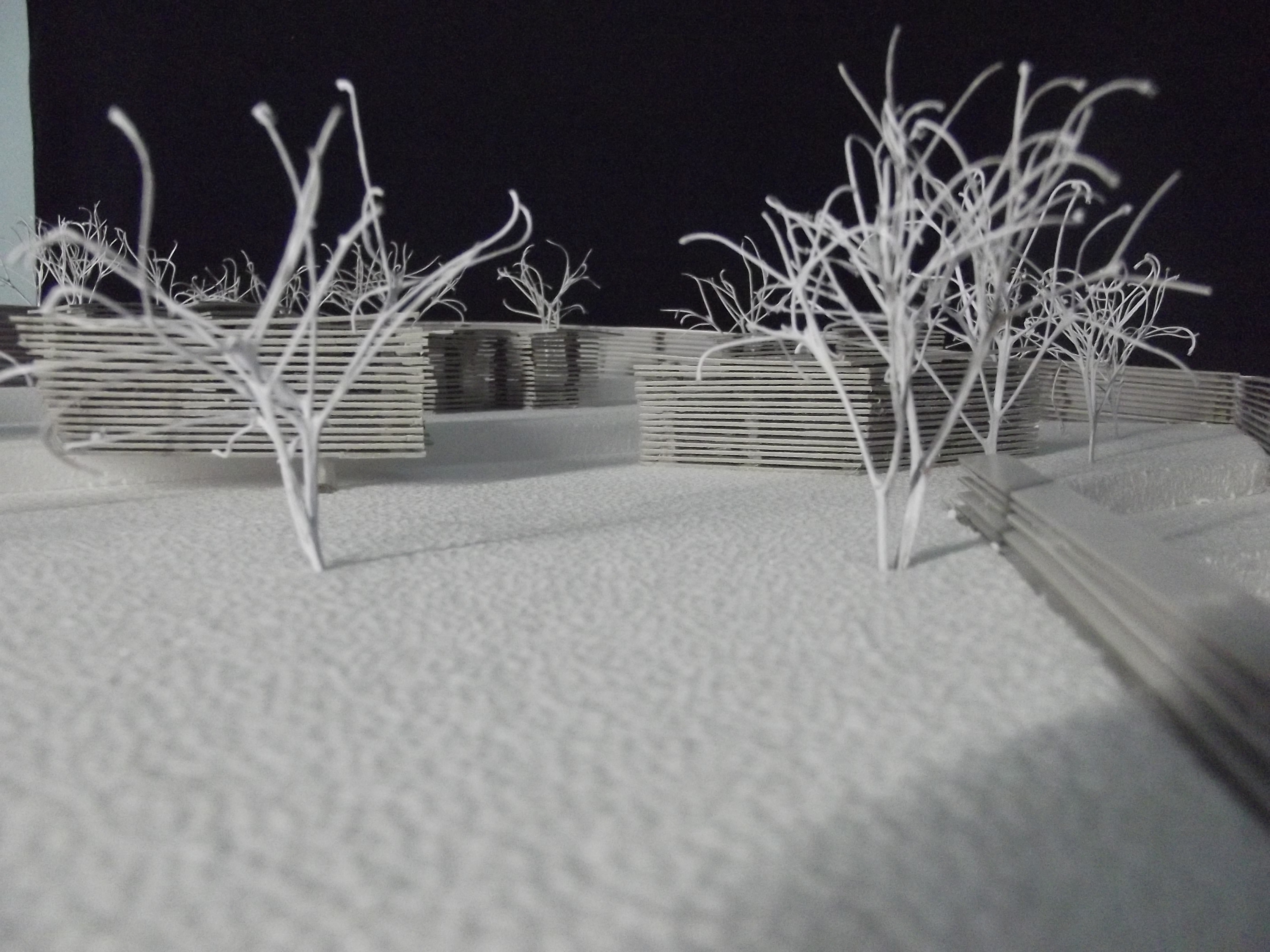 2015 年完成的年度项目 | 公园、公共花园、模块化住宅与展览装置-7