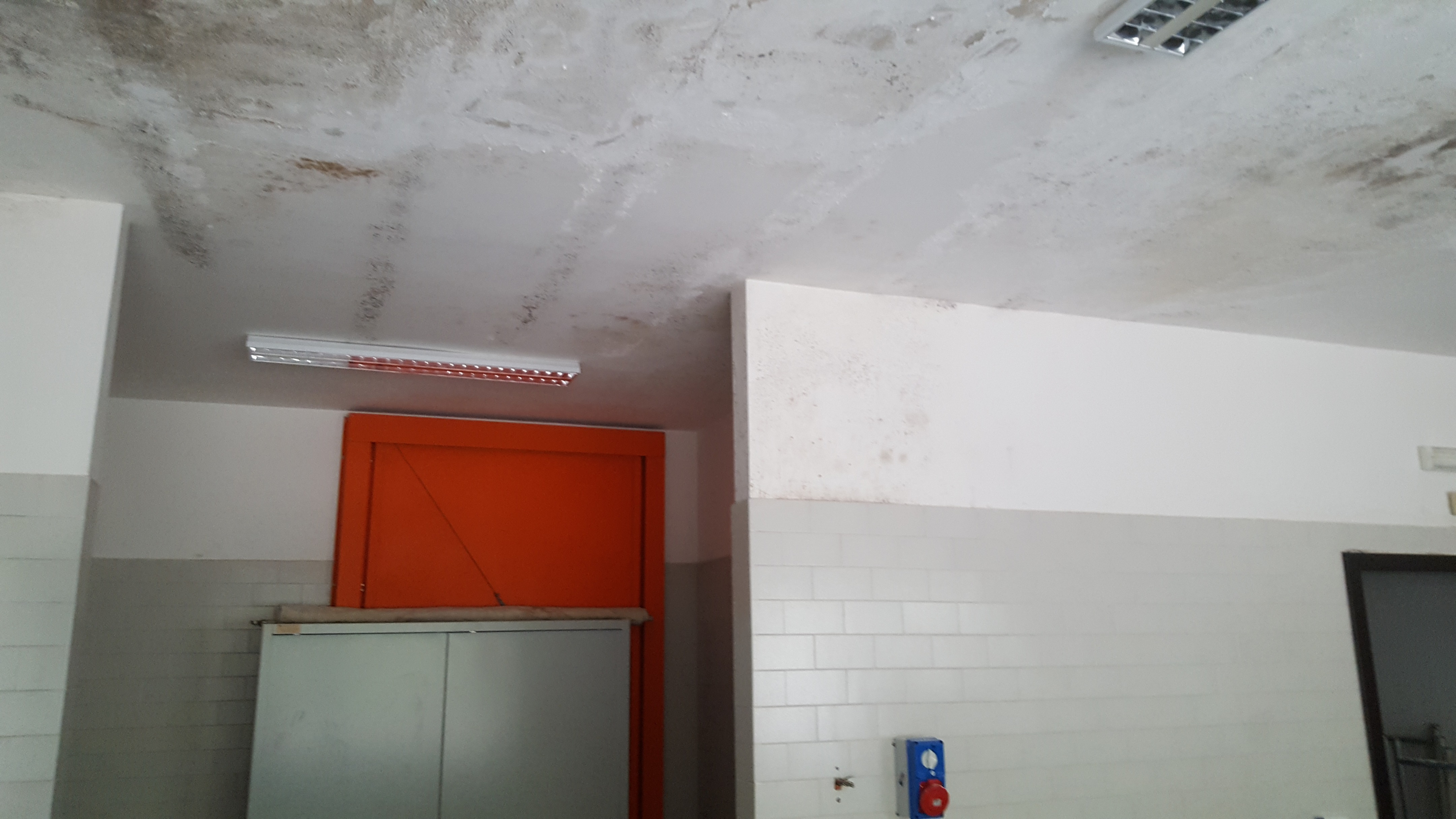 意大利 T·Fiore 学校社区图书馆设计-6