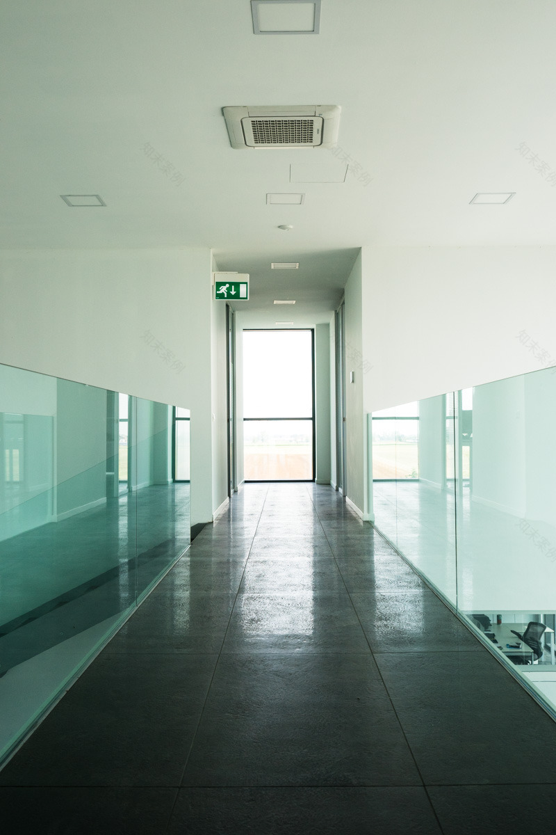 Furia Seed 生产基地-12