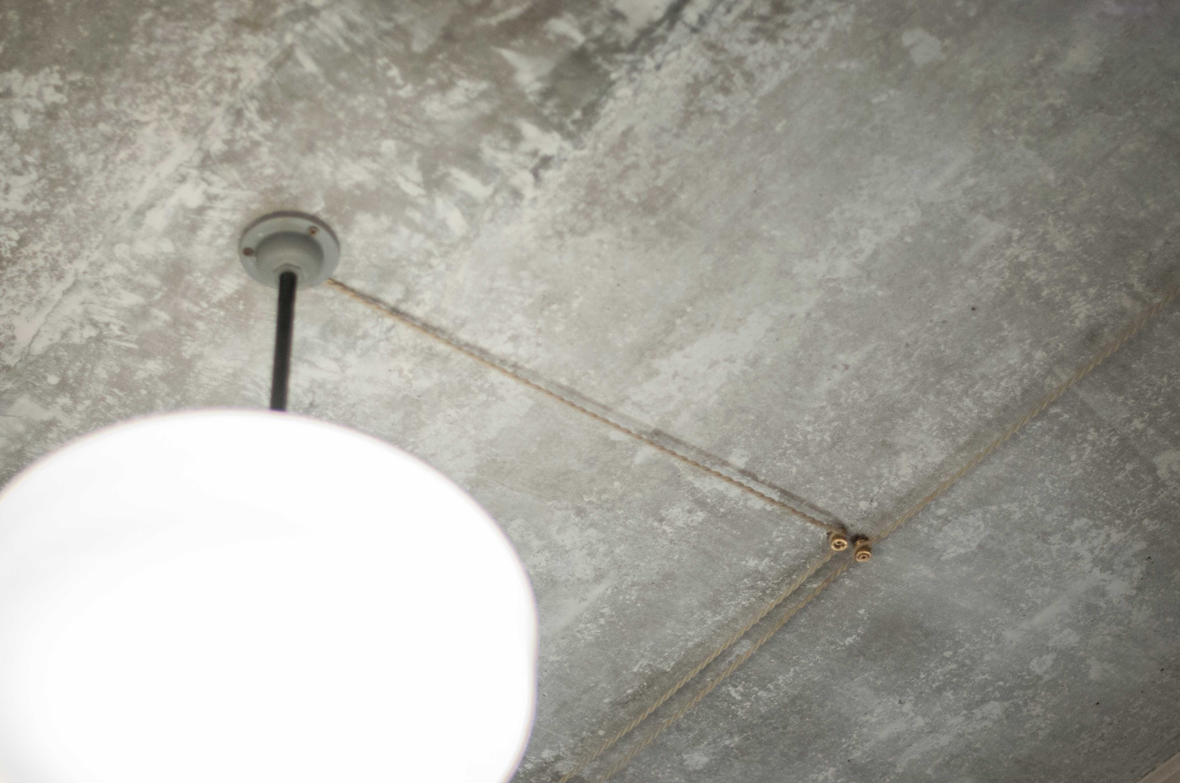 凤尾鱼精品店-19