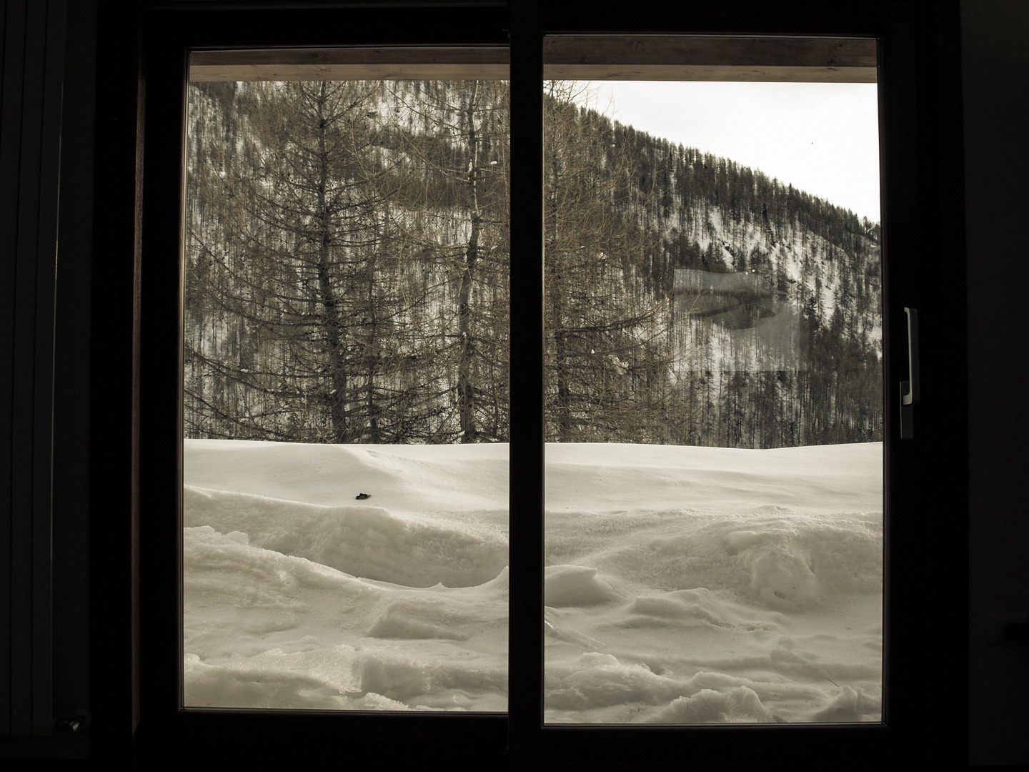 山间木屋的现代复兴-46