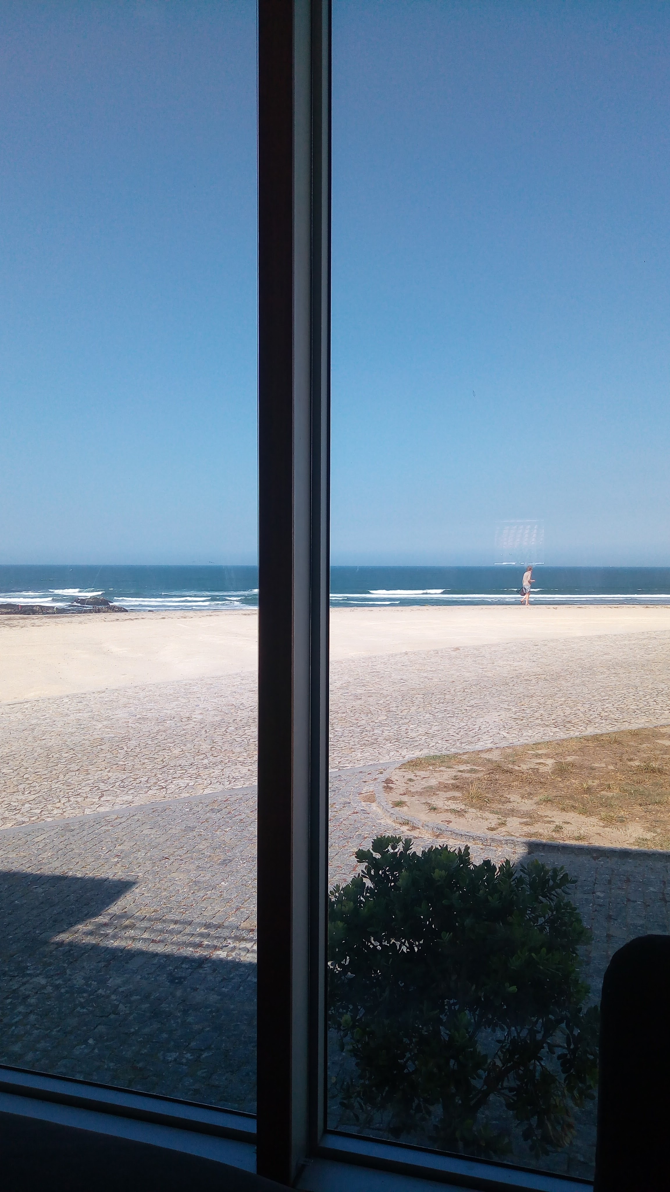 《海洋之窗》-2