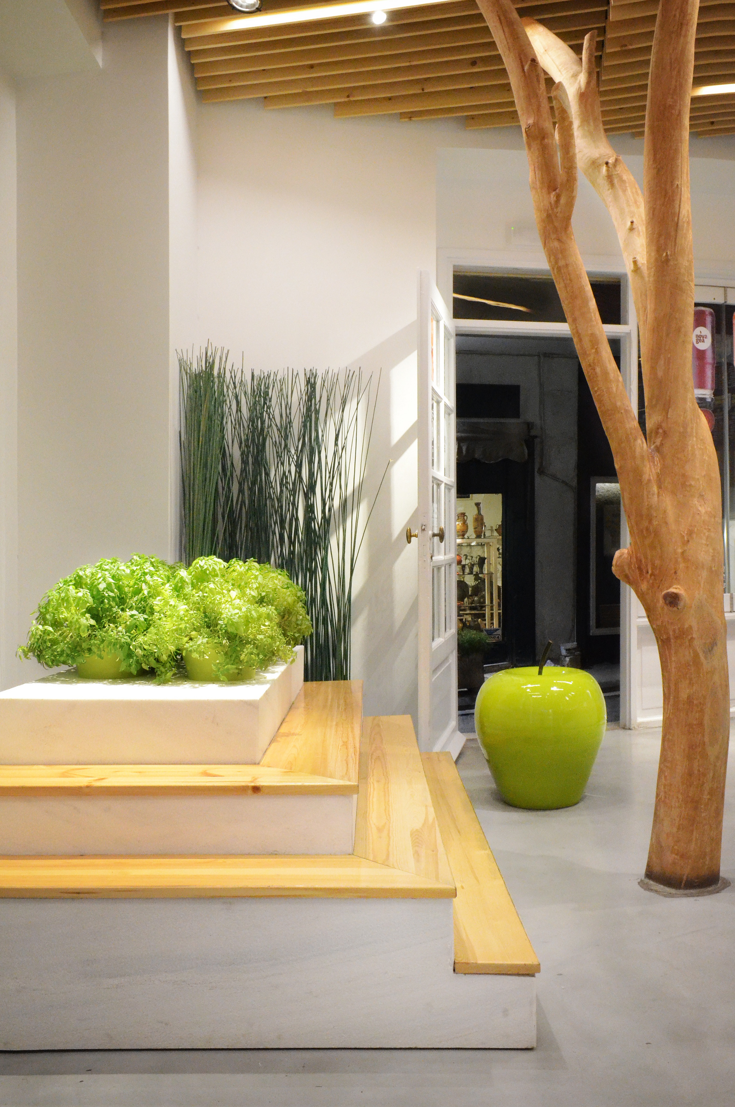 雅典 NOVAGEA 果汁吧 | 融入希腊传统与自然的现代空间-11