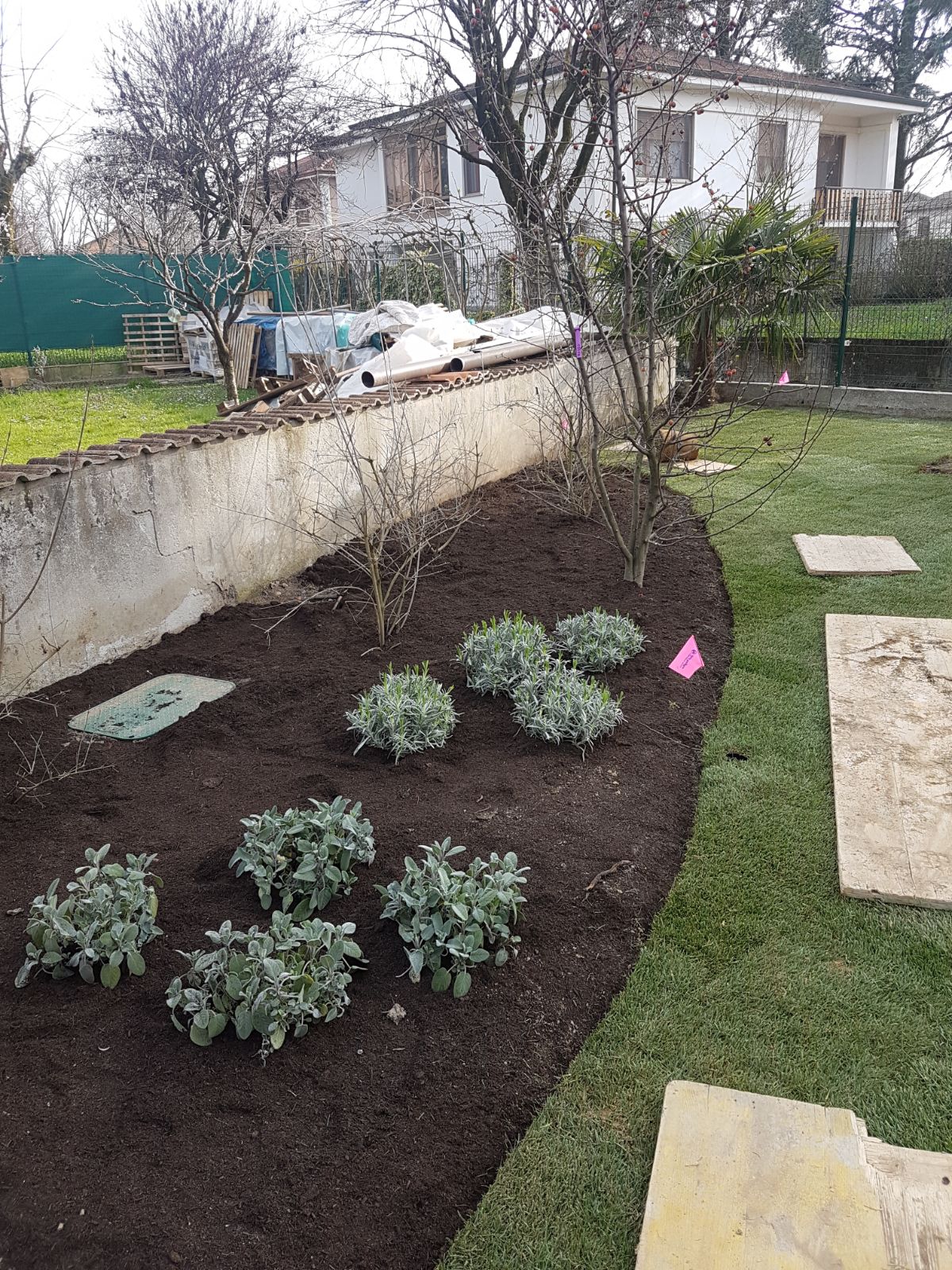 迷你英式庭院 | 绿意盎然的生活空间-16