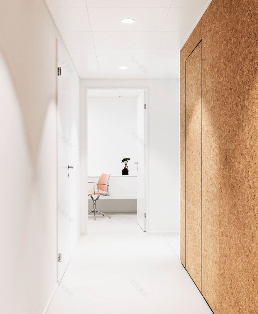 "温木"诊疗空间 | Dost 打造苏黎世心脏治疗中心-13