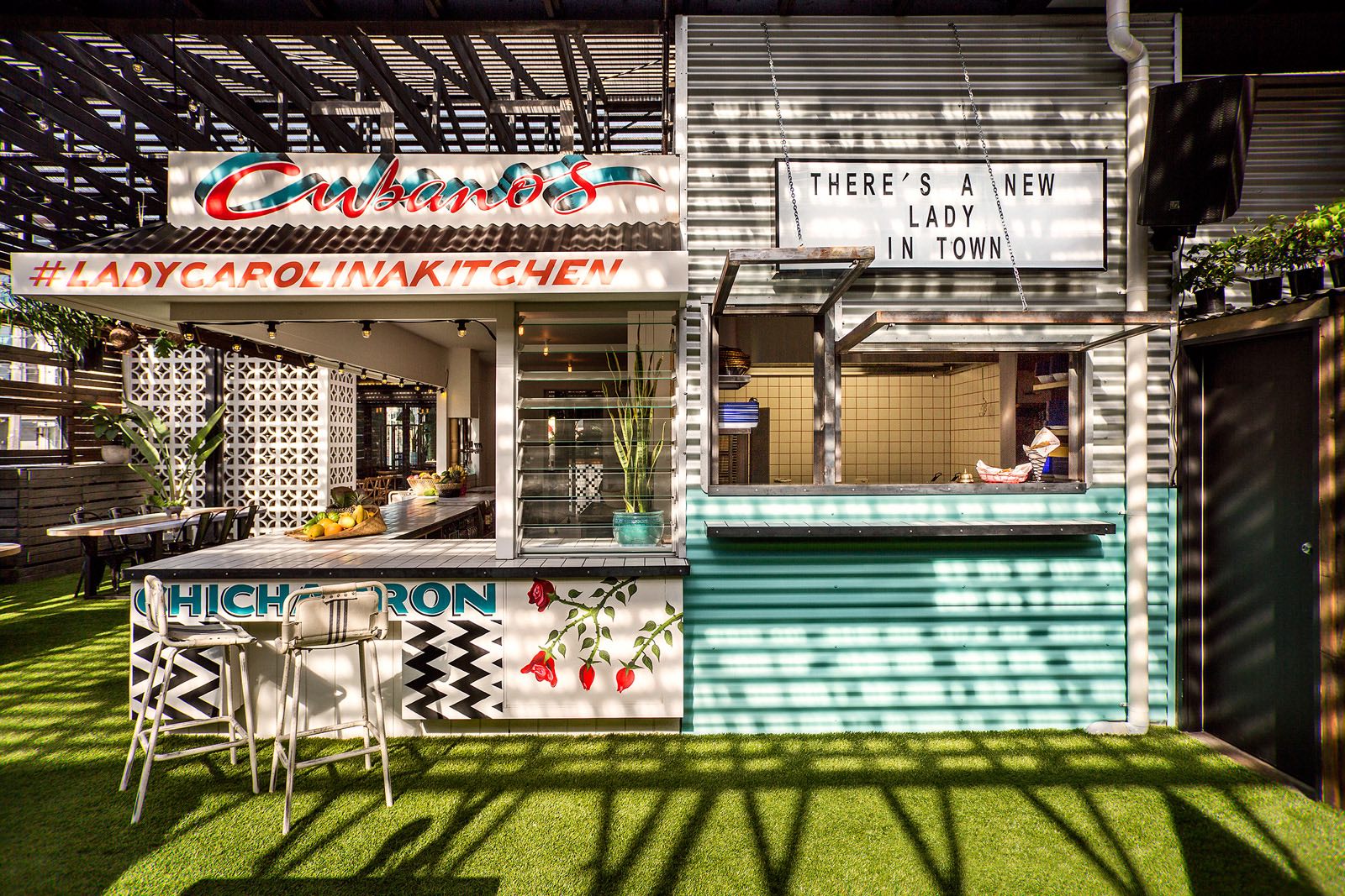 卡罗莱纳夫人-10