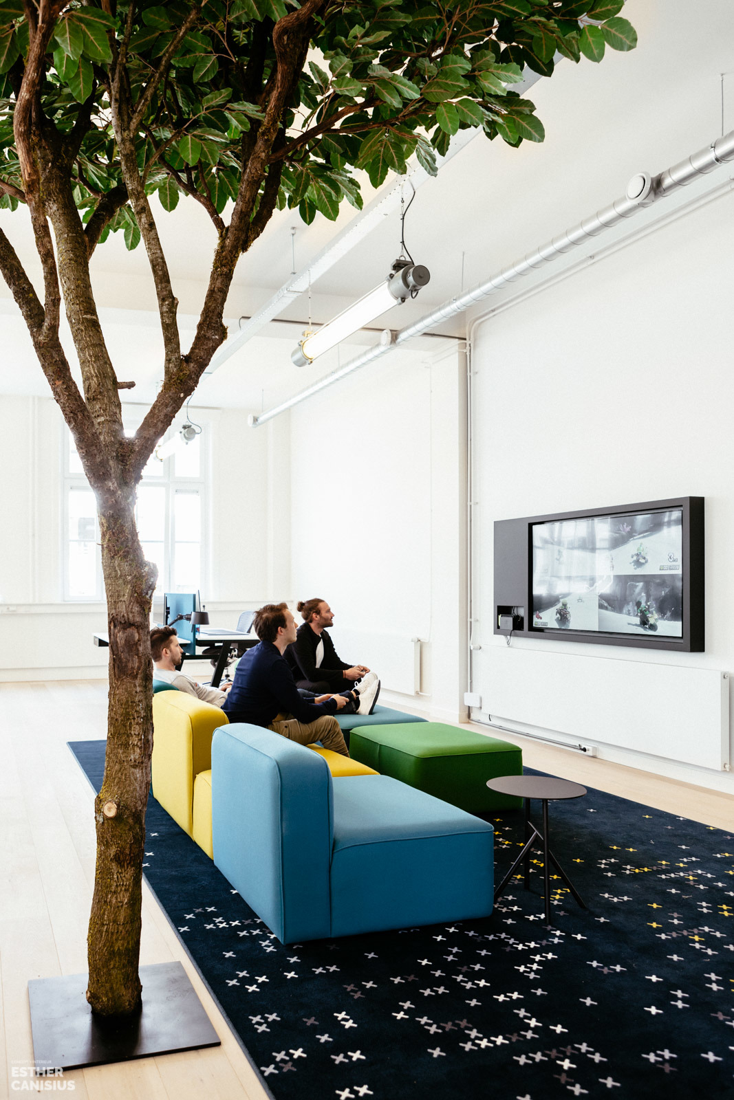 荷兰 Imkey 办公室 | 古典建筑中的现代绿意空间-4