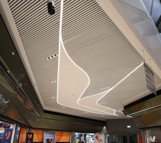 科纳德·维亚拉尔加-12