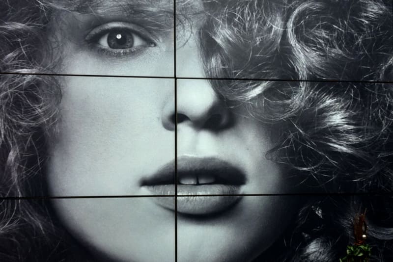 极速打造单一品牌商店-0