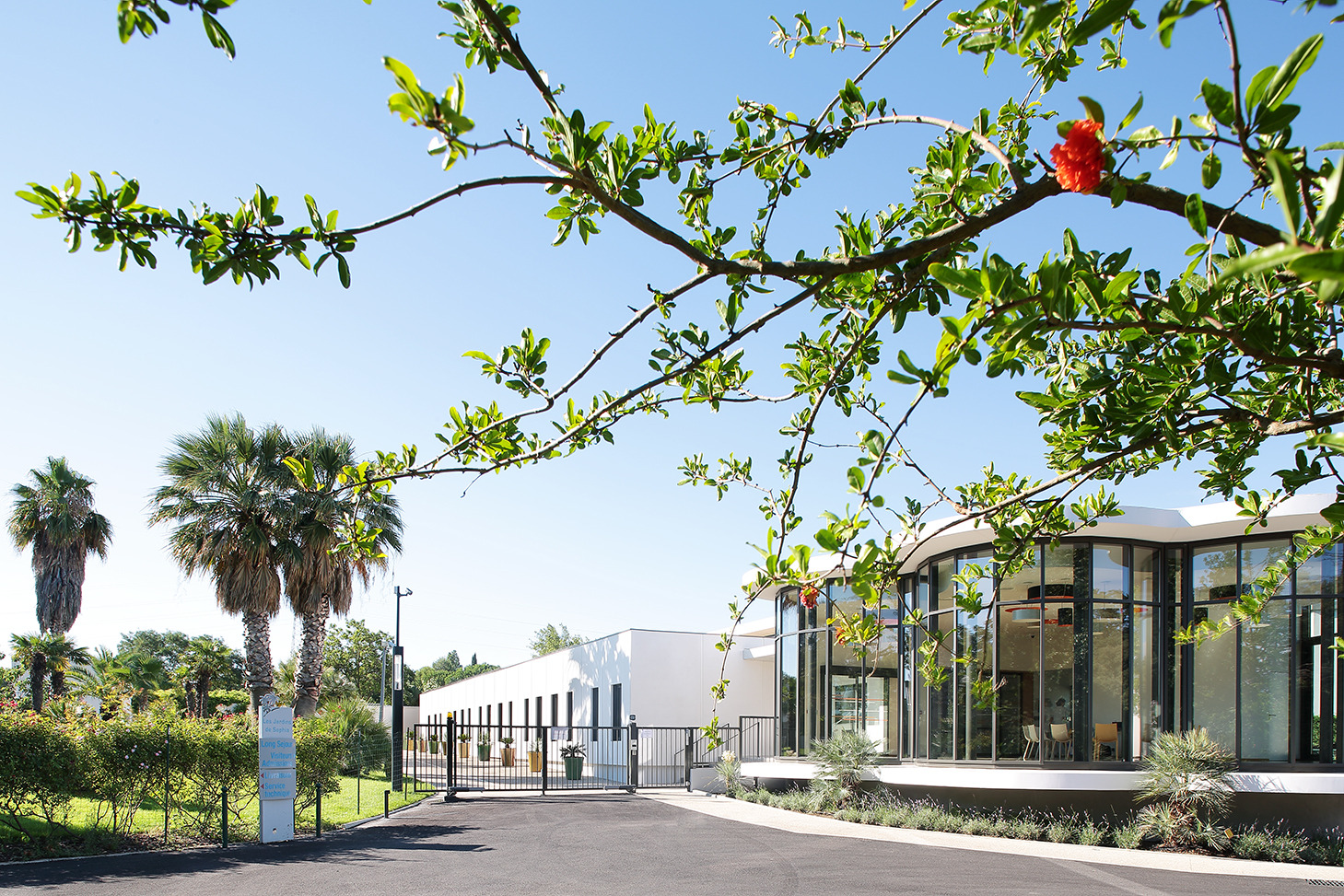 光与绿意共融的阿尔茨海默病疗养空间-0