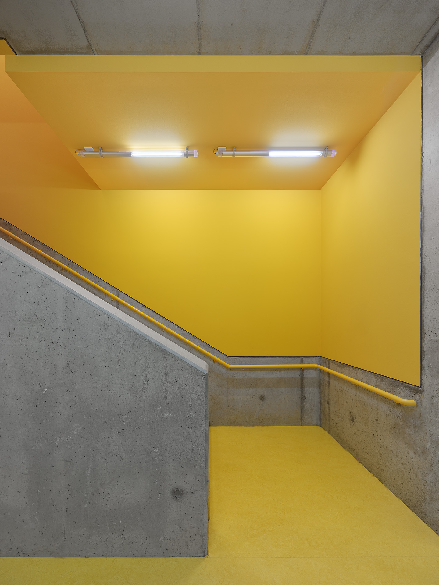 悬浮之境 · Pfungstadt 运动馆-9