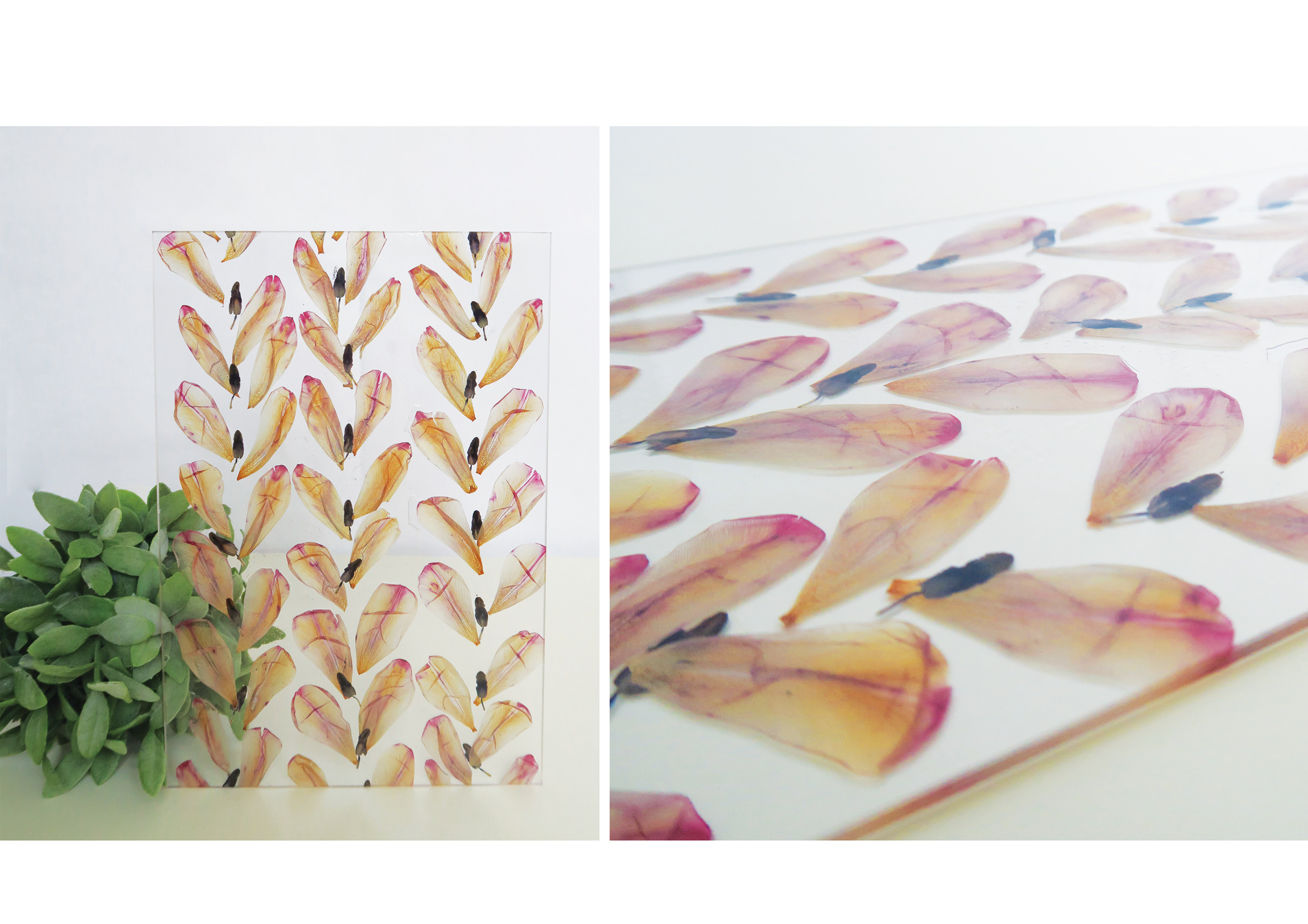 自由空间·2017 设计项目-6